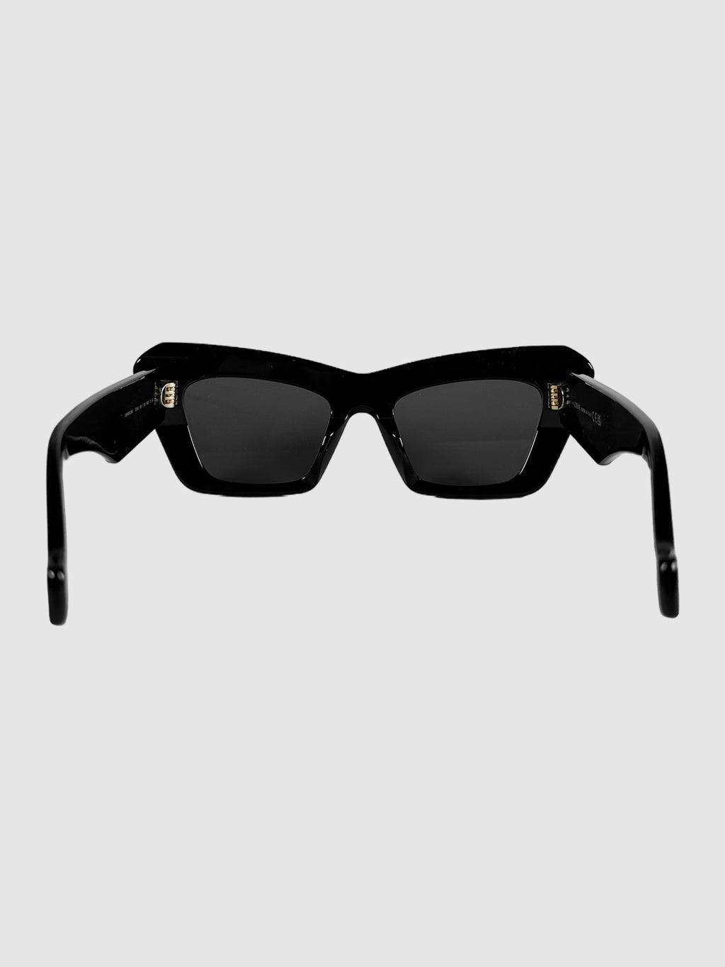 Tinted Cat Eye Sunglasses