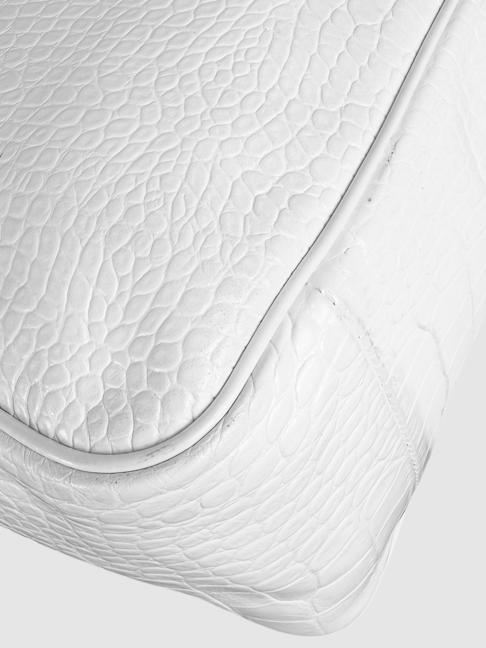 Croc-Embossed Roseau Bag