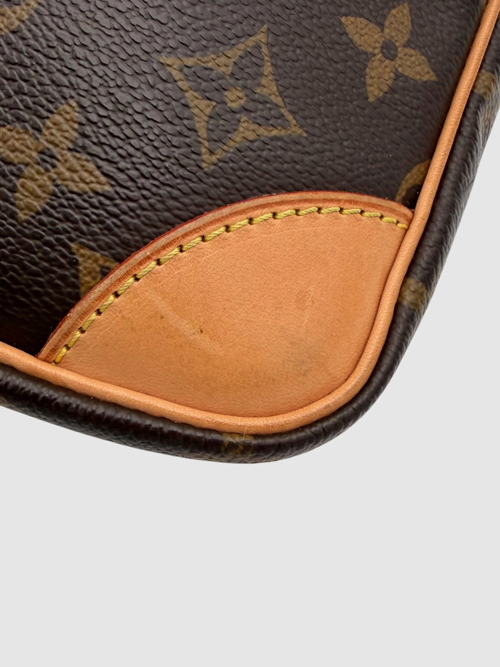 Monogram Amazone Bag