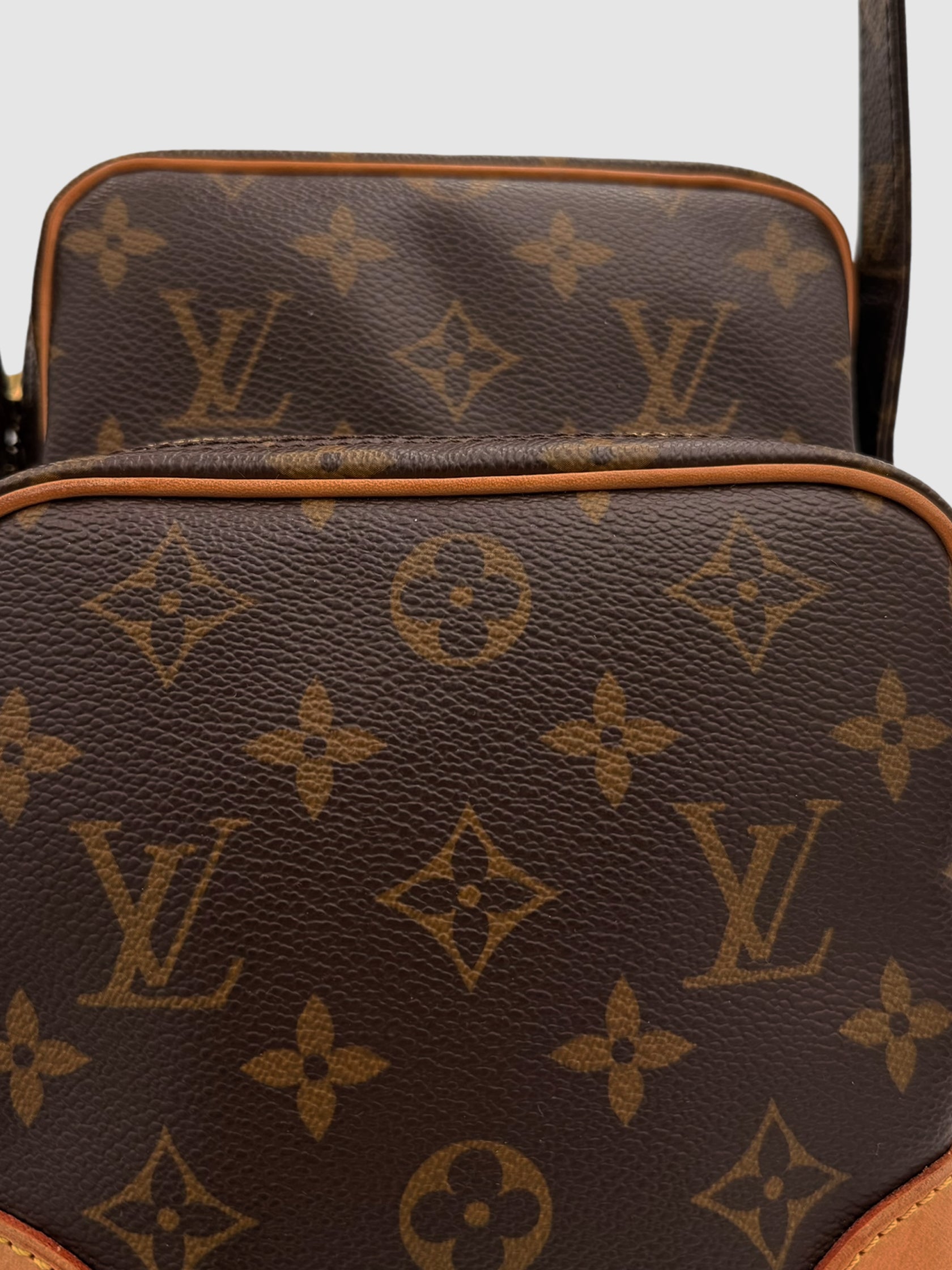 Monogram Amazone Bag
