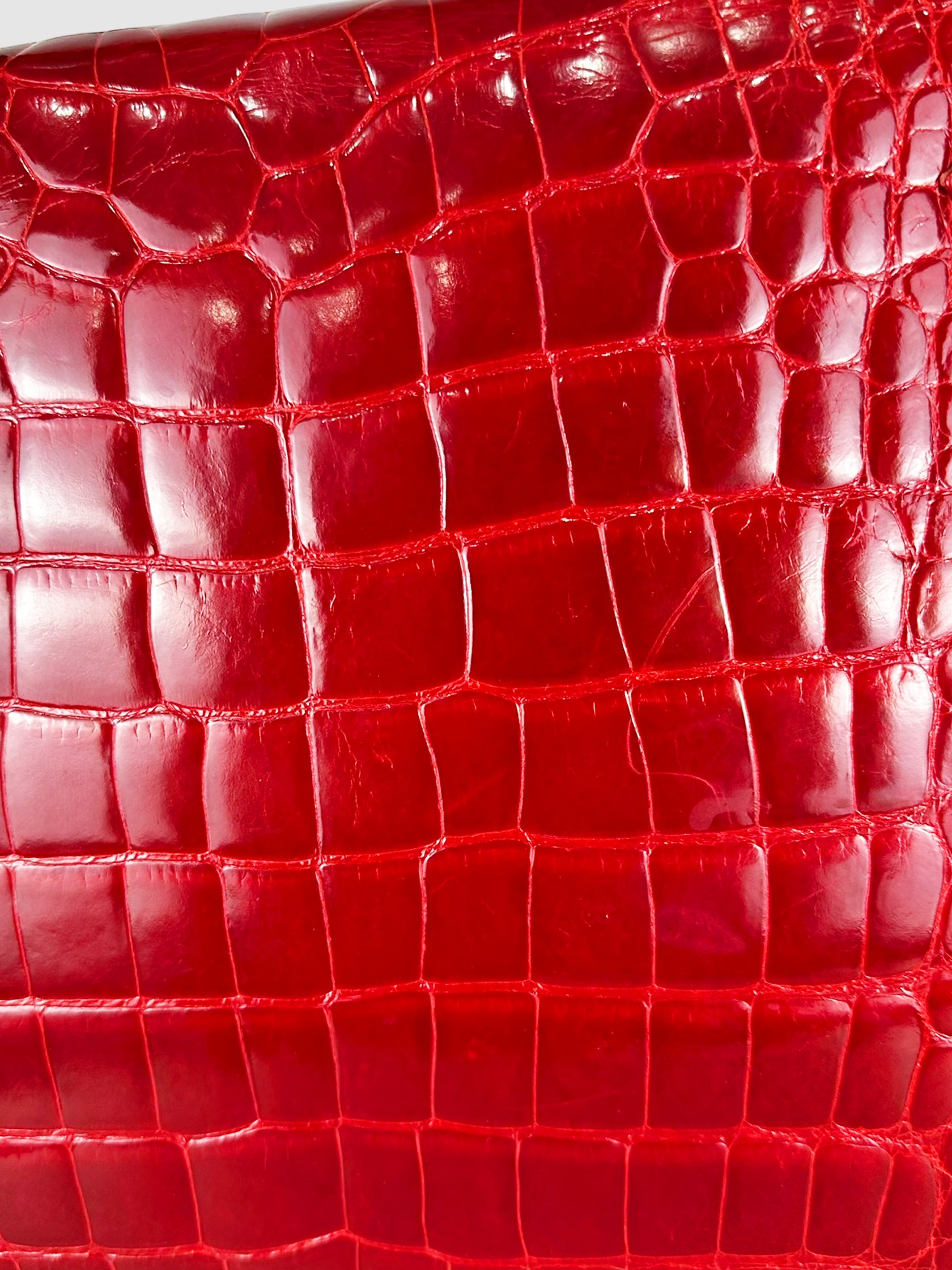 Crocodile Handle Bag