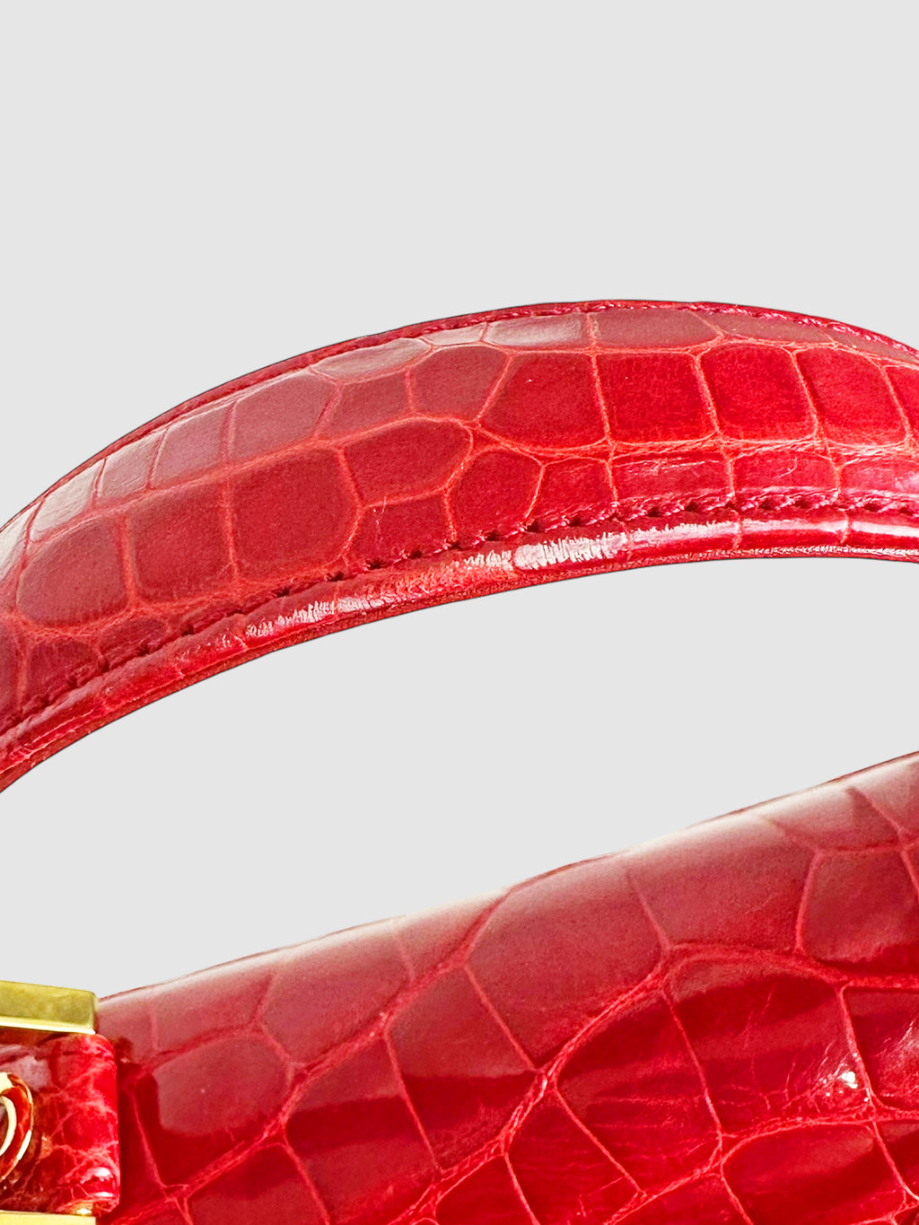 Crocodile Handle Bag