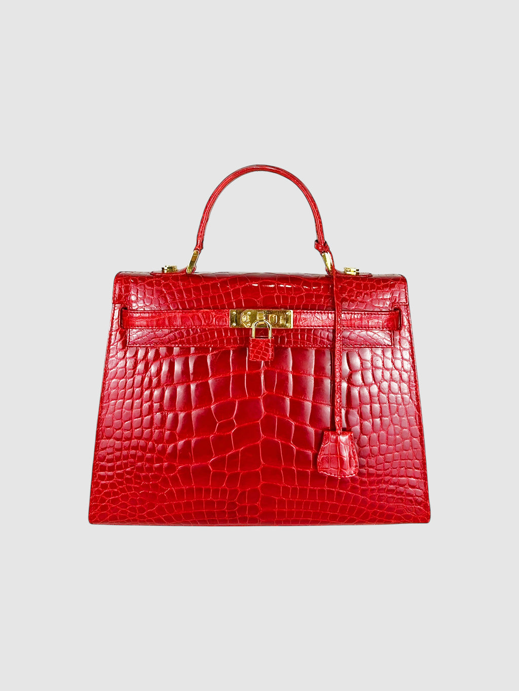 Crocodile Handle Bag