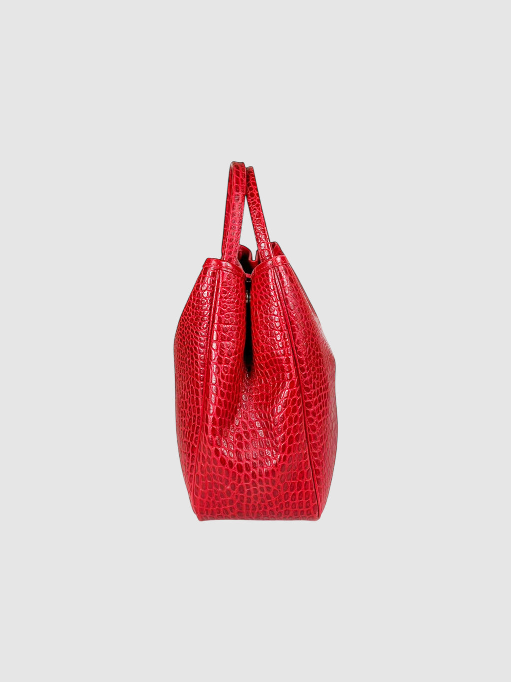 Roseau Handle Bag