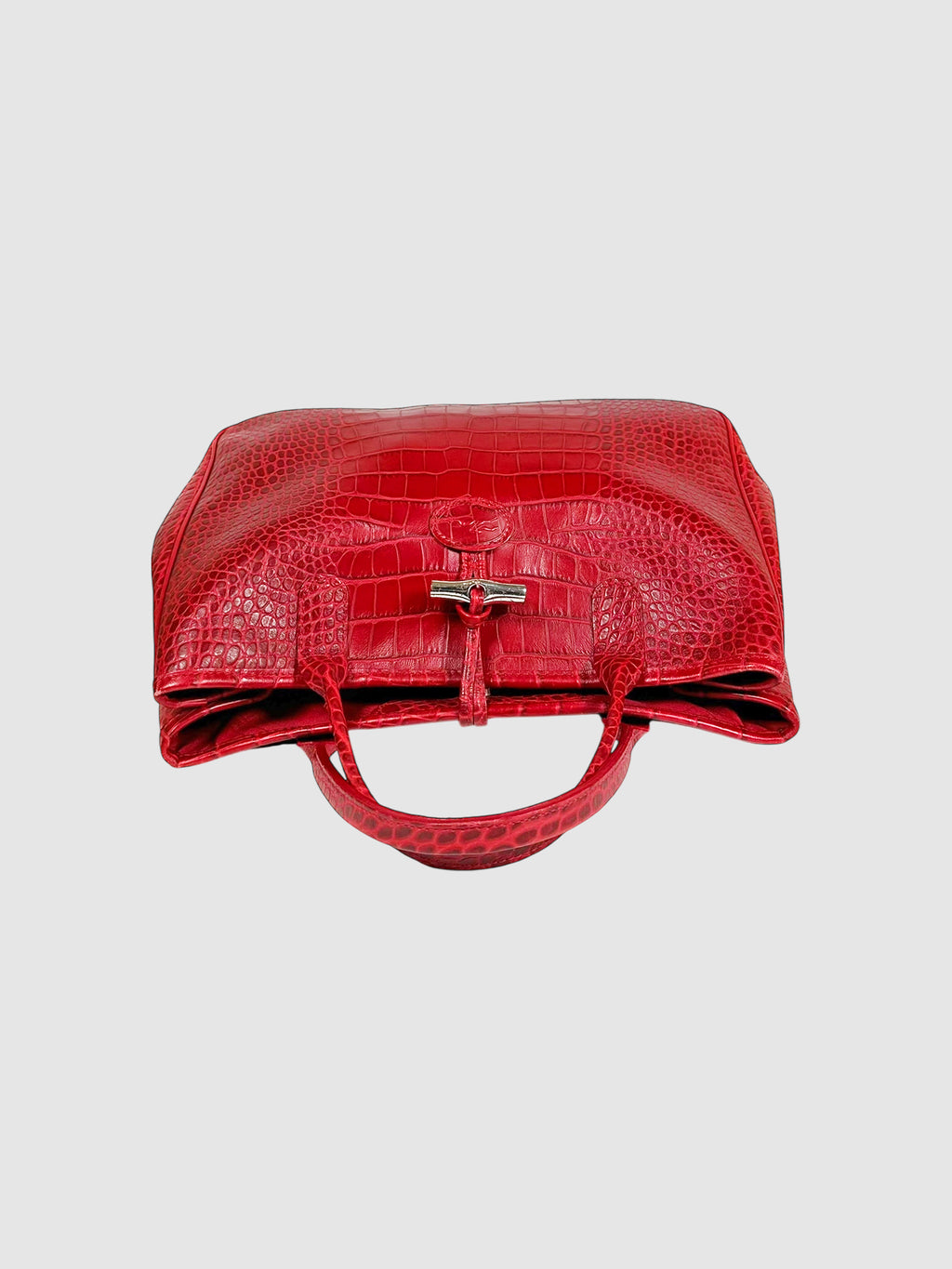 Roseau Handle Bag