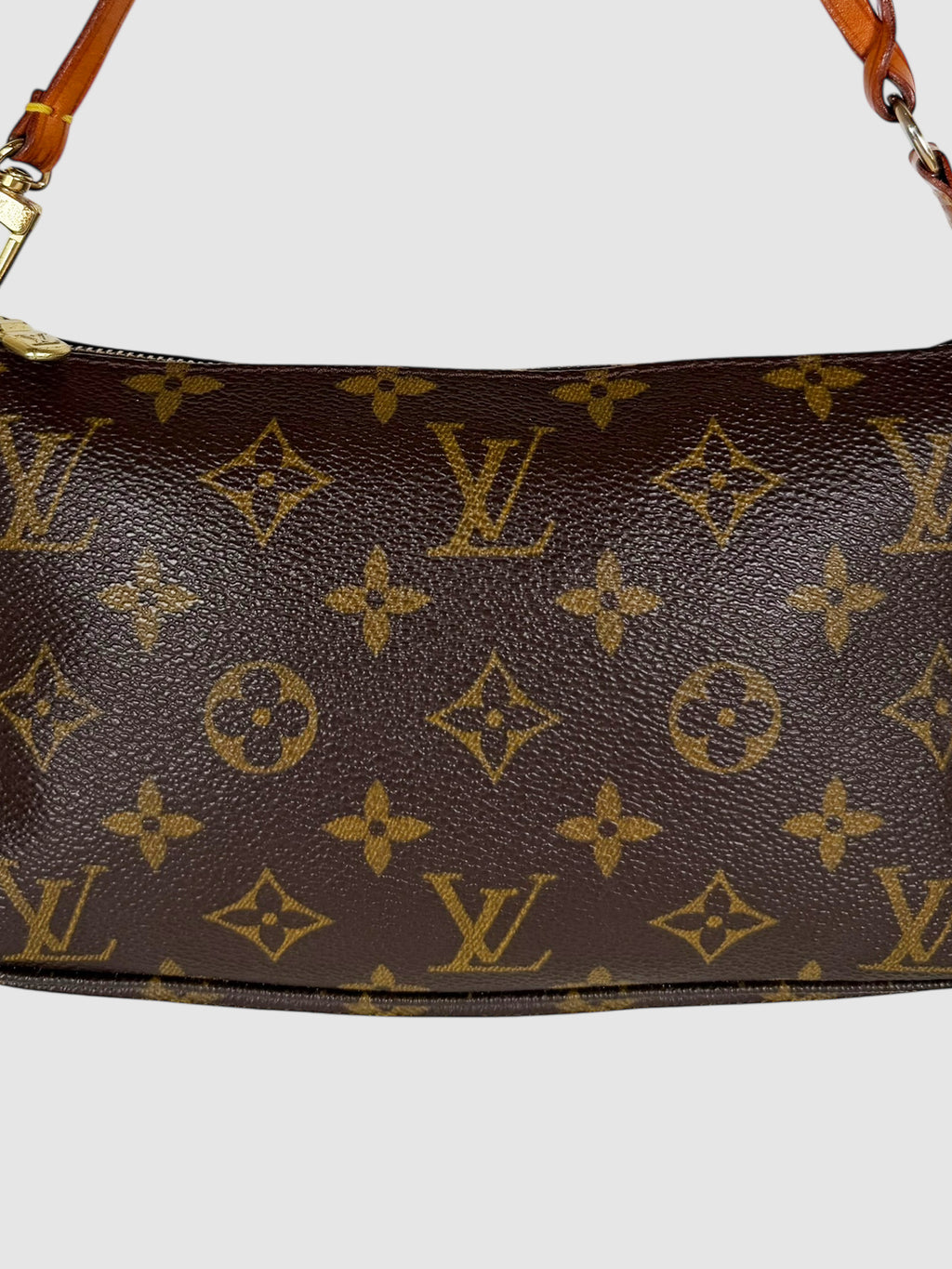 Monogram Canvas Pochette