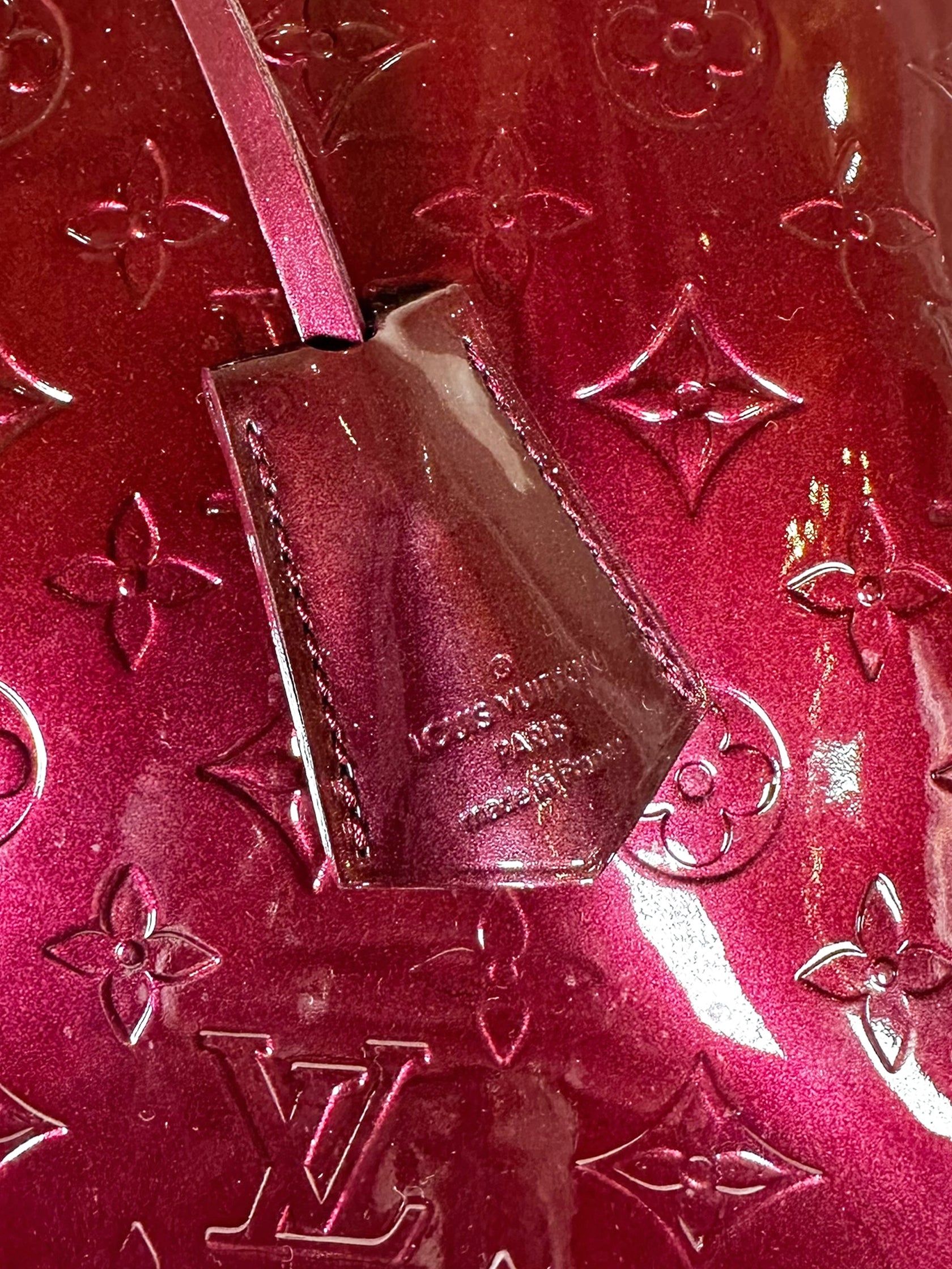 Vernis Alma GM Bag