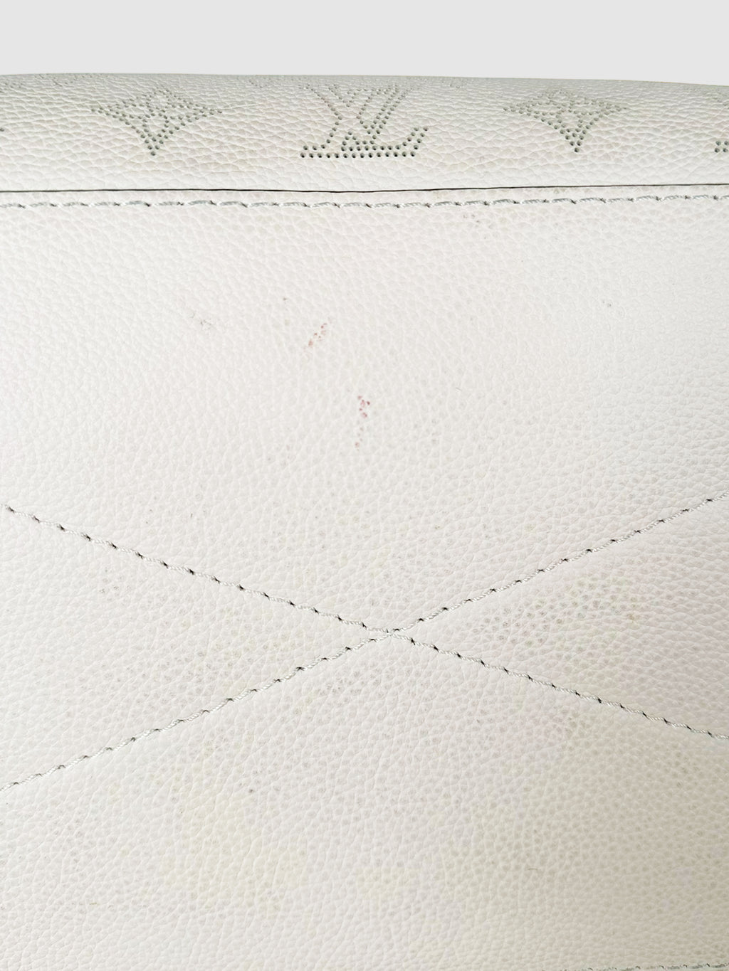 2020 Carmel Mahina Monogram Hobo Bag