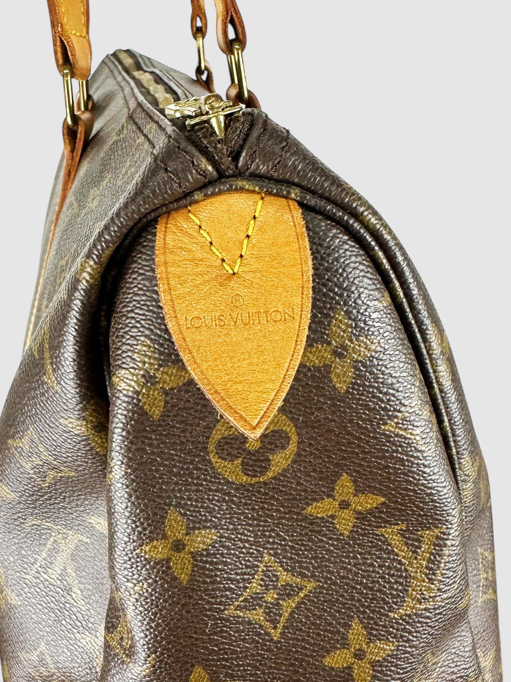 Monogram Flanerie 45 Bag