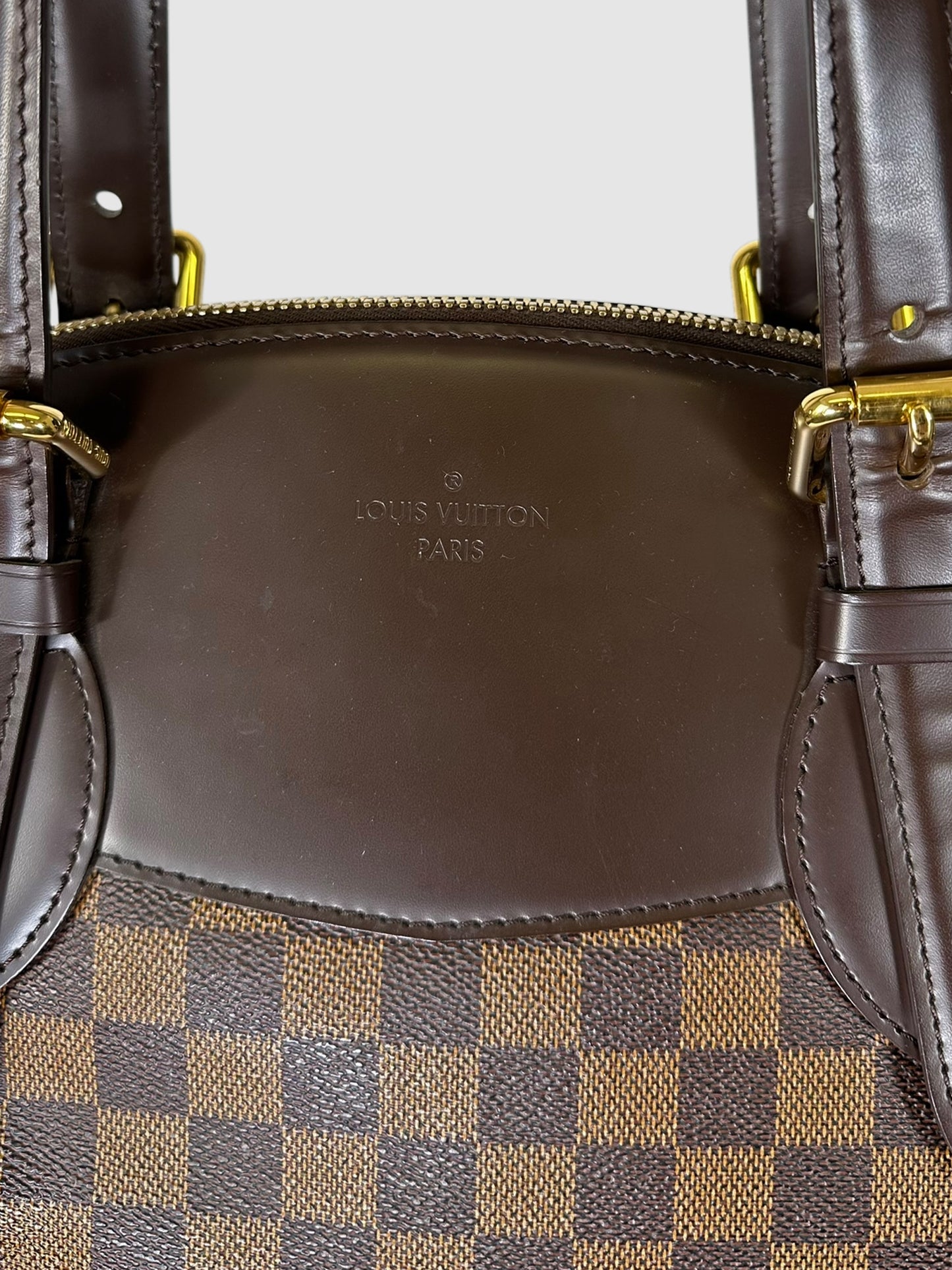 2010 Damier Ebene Verona MM Bag