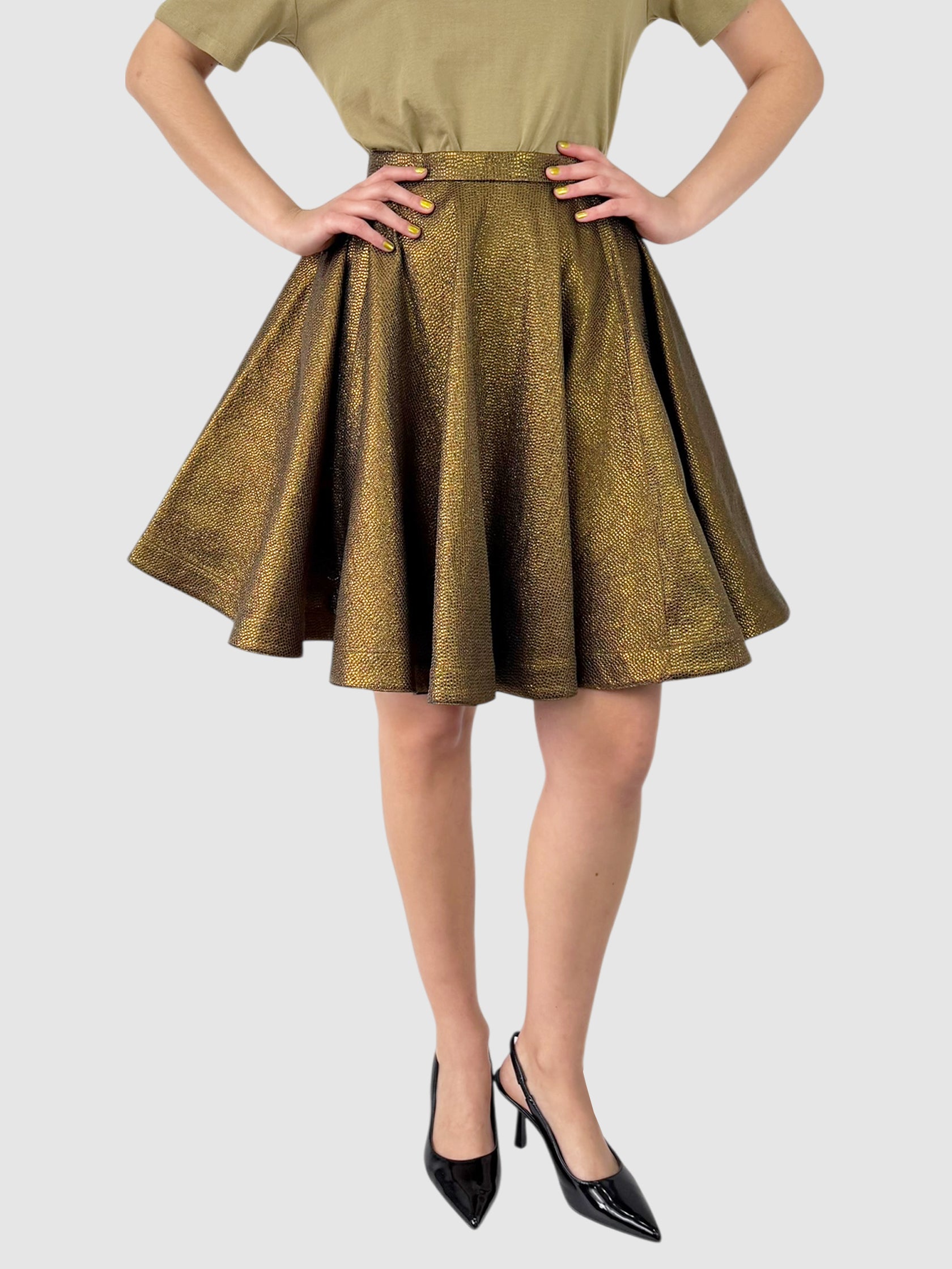 Metallic Circle Skirt