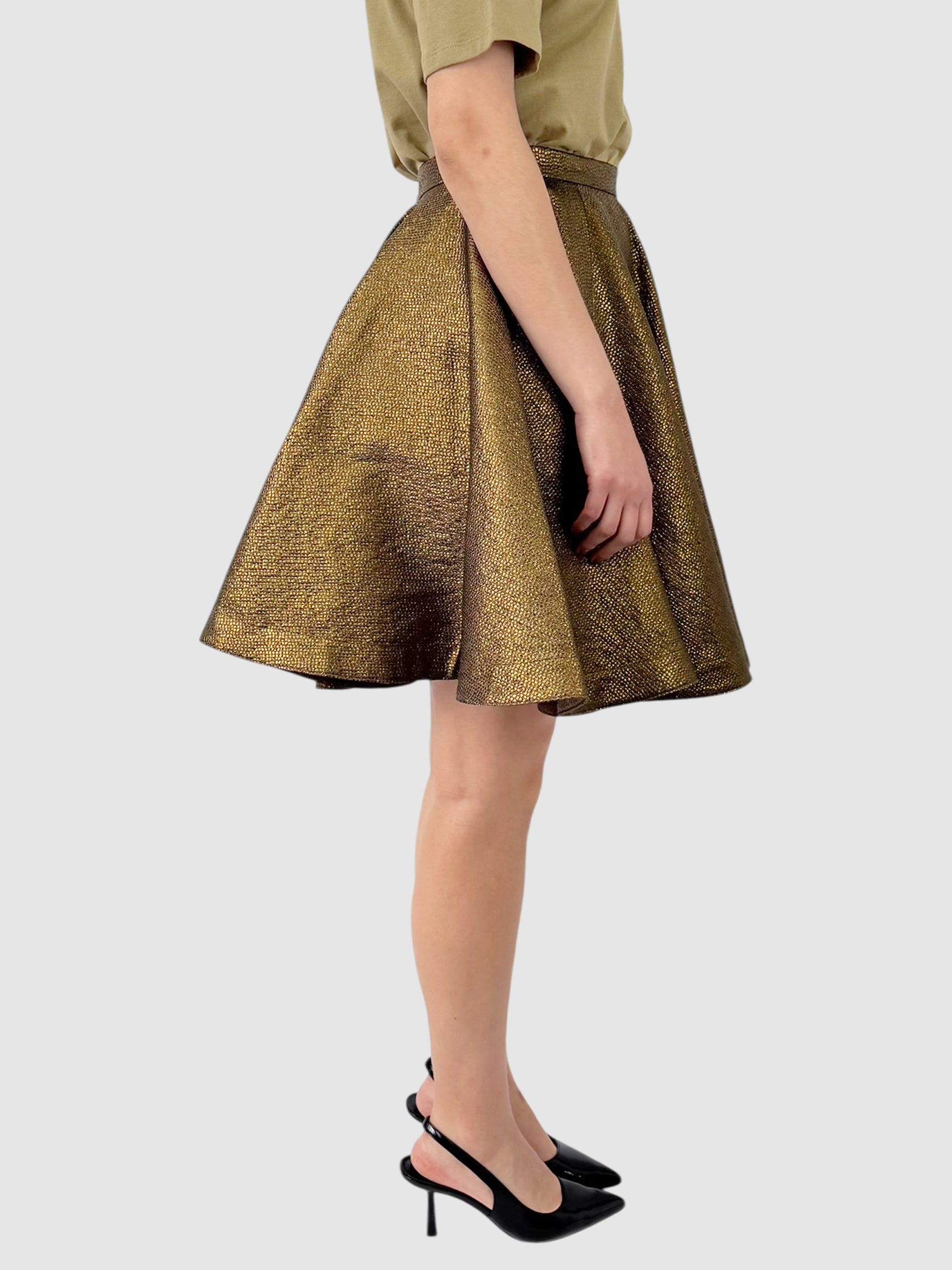 Metallic Circle Skirt
