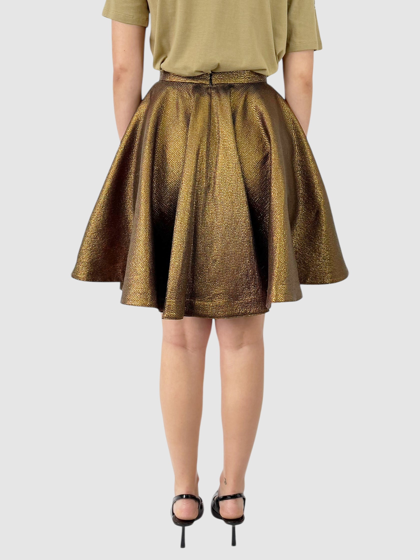 Metallic Circle Skirt