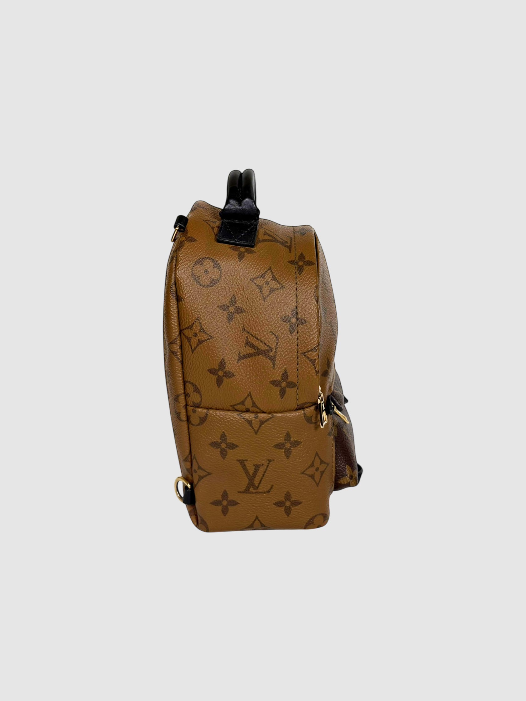 Palm Springs Mini Backpack