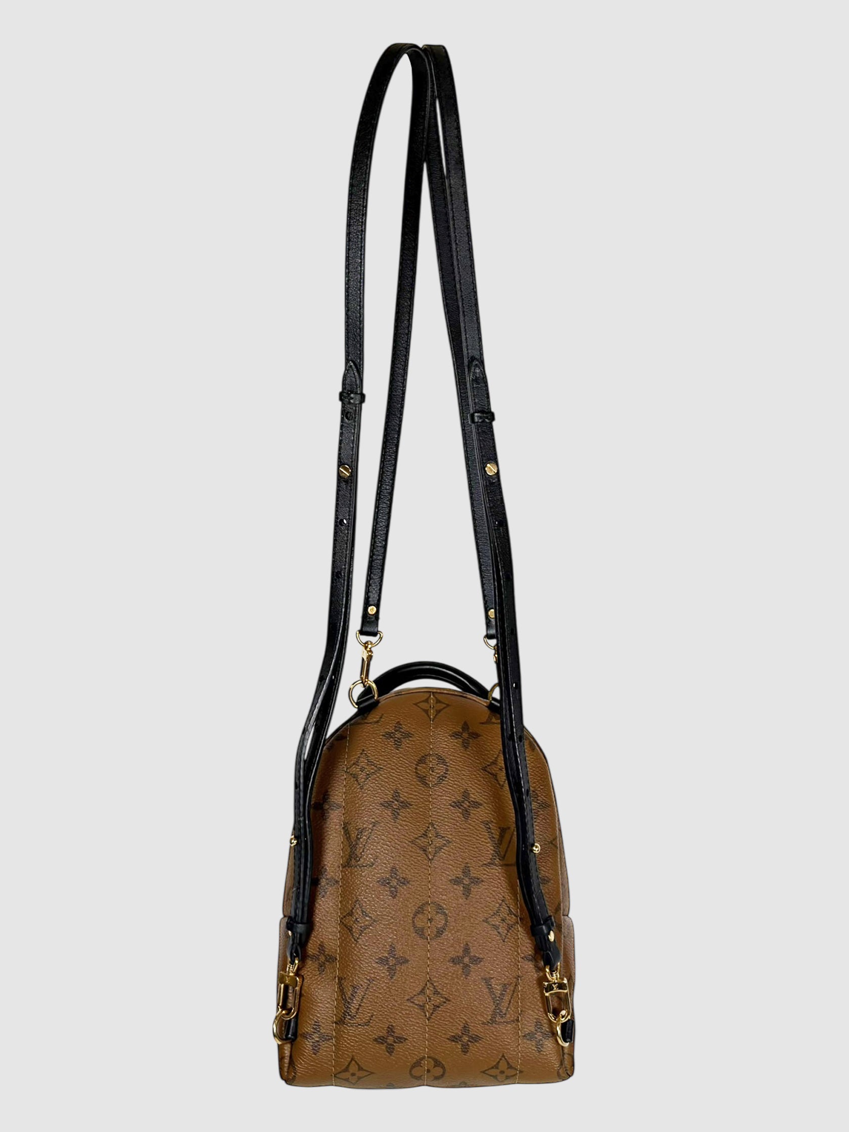 Palm Springs Mini Backpack