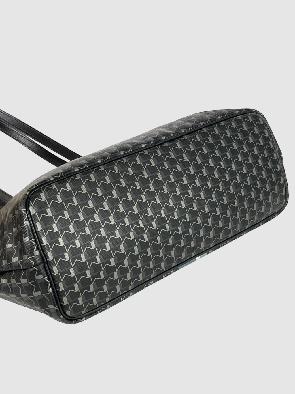 Moynat Printed Coated Canvas Tote Bag