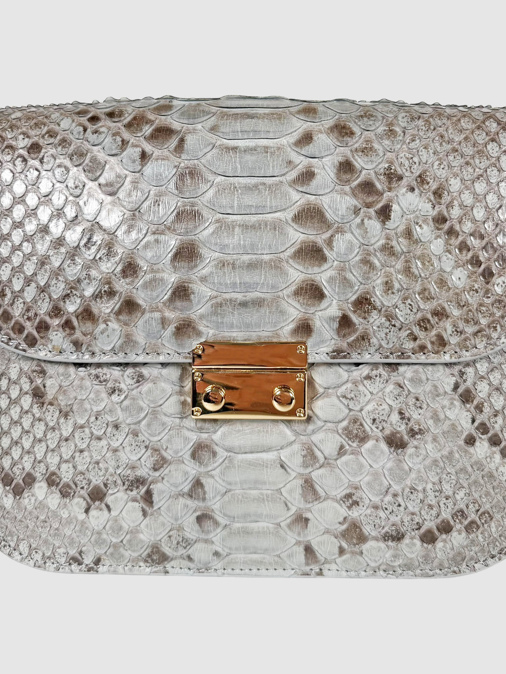 Python Flap Bag