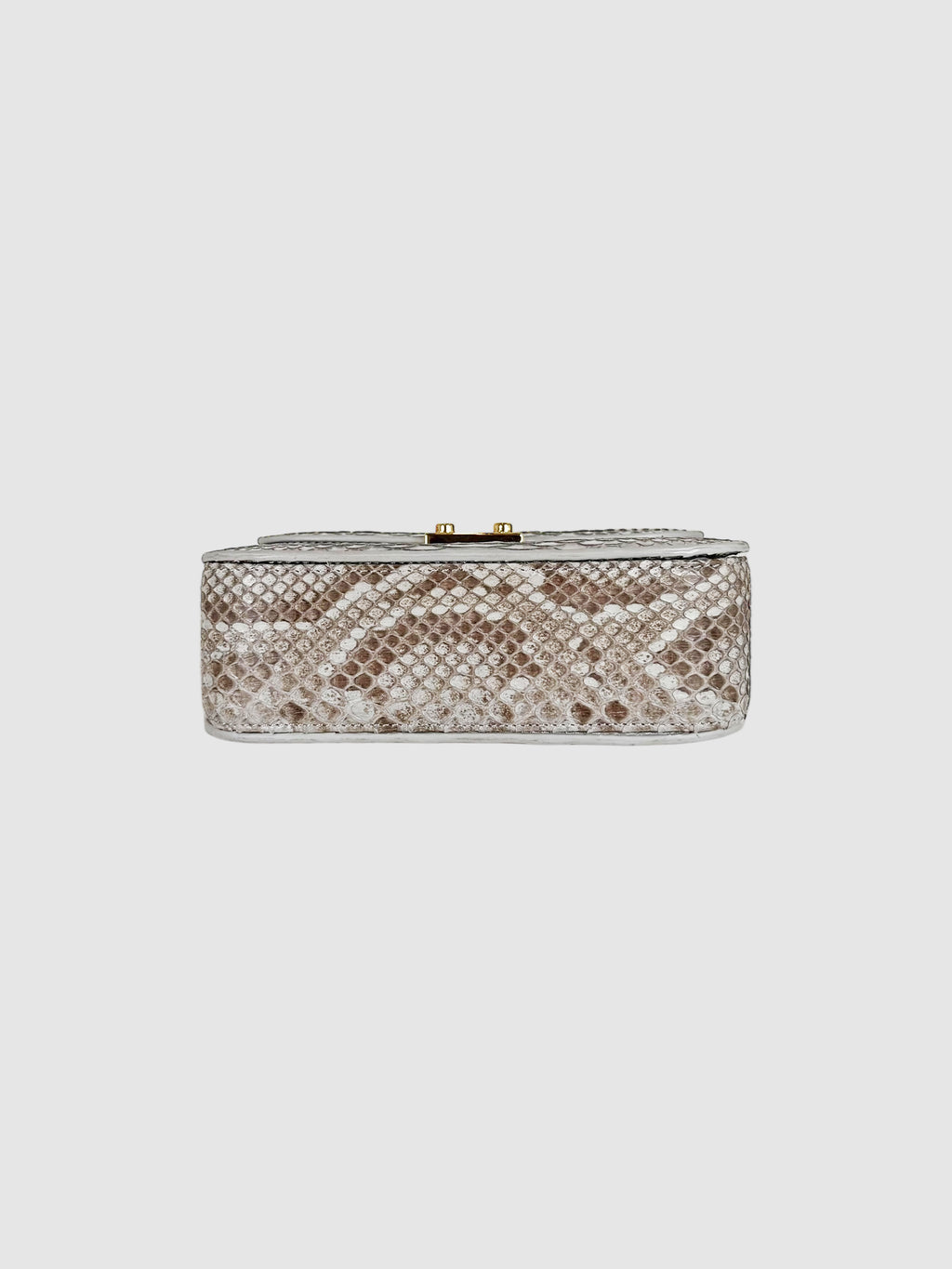 Python Flap Bag