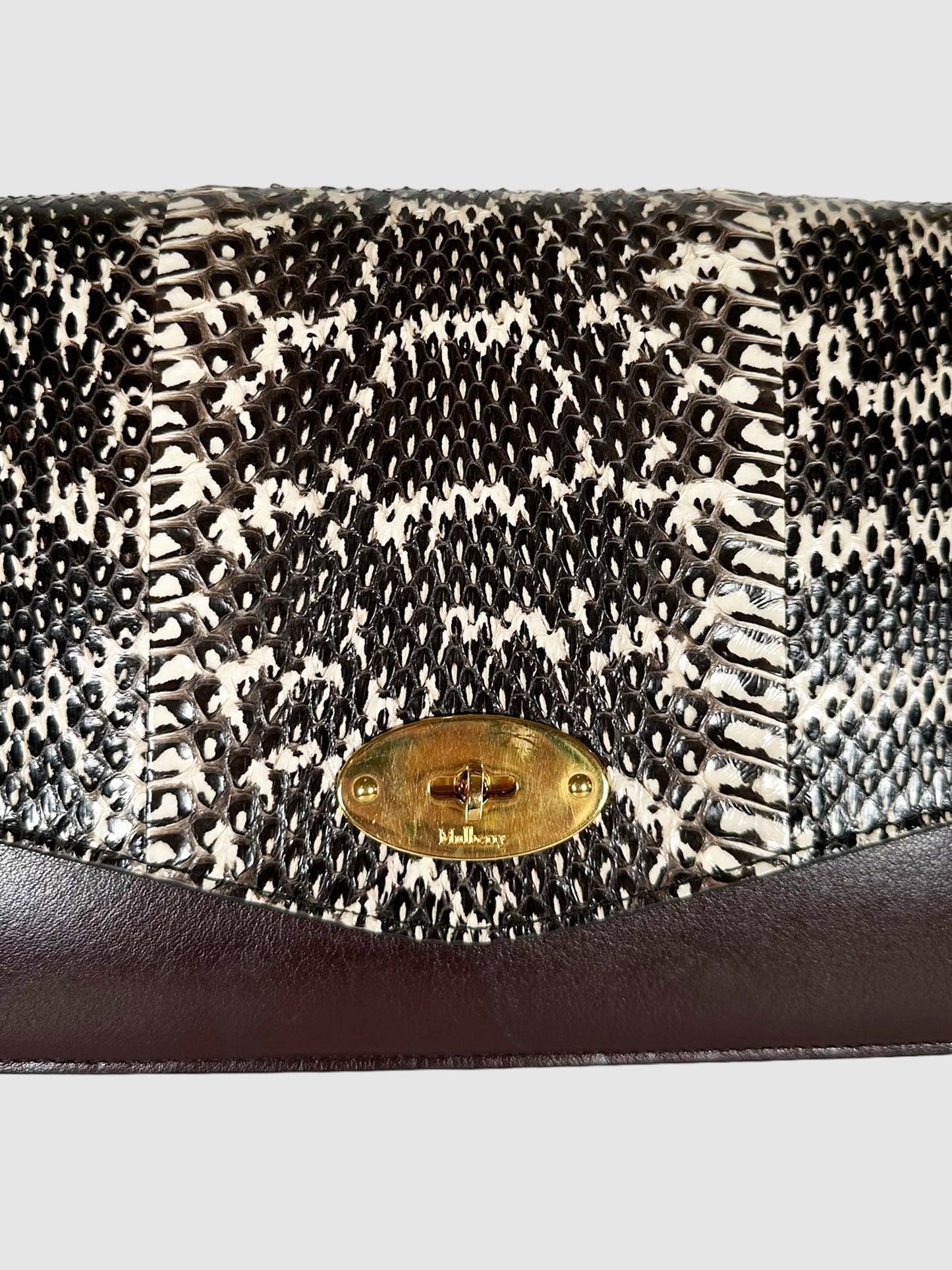 Snakeskin/Smooth Calf Darley Bag