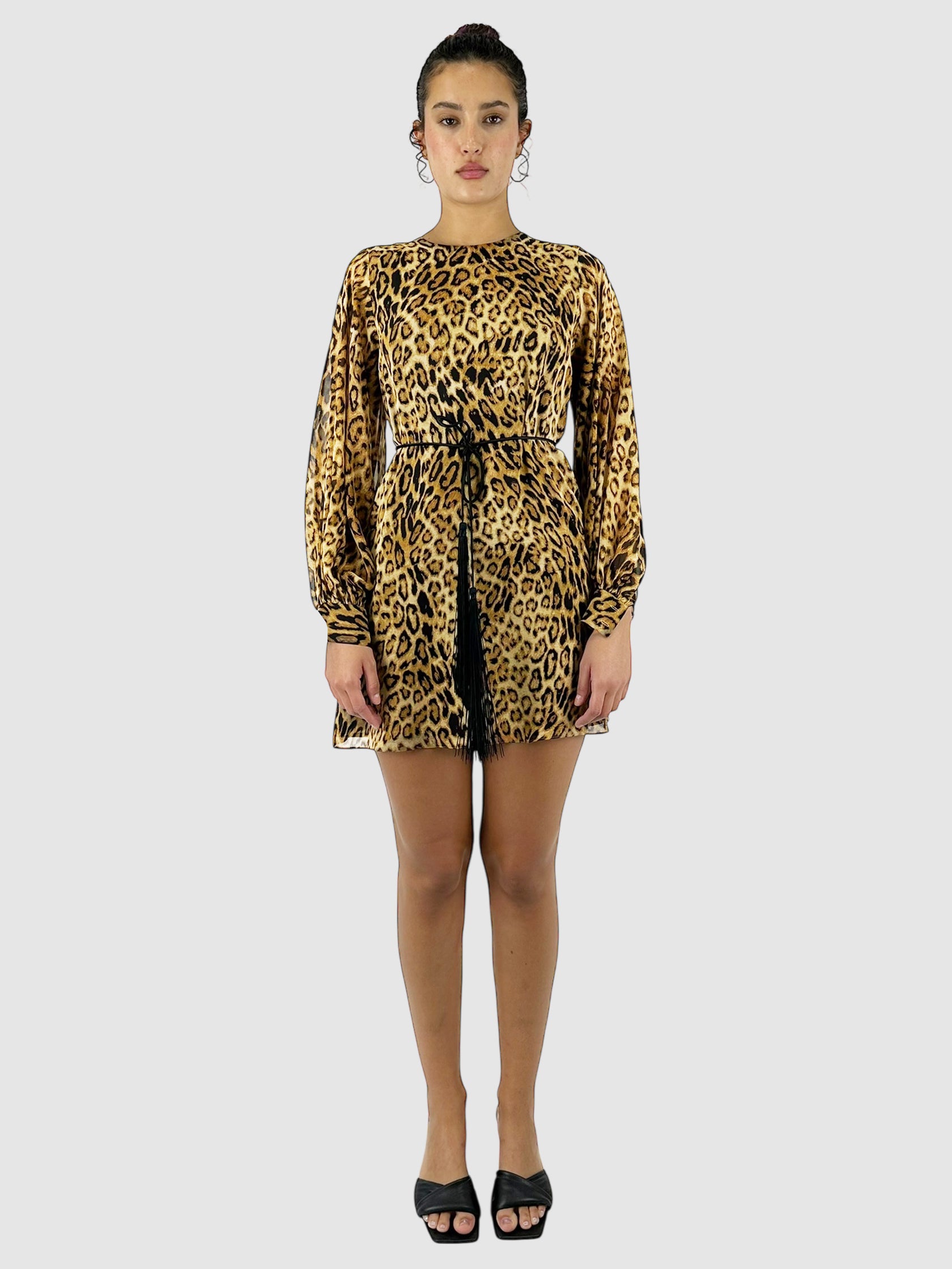 Leopard Rebeca Dress