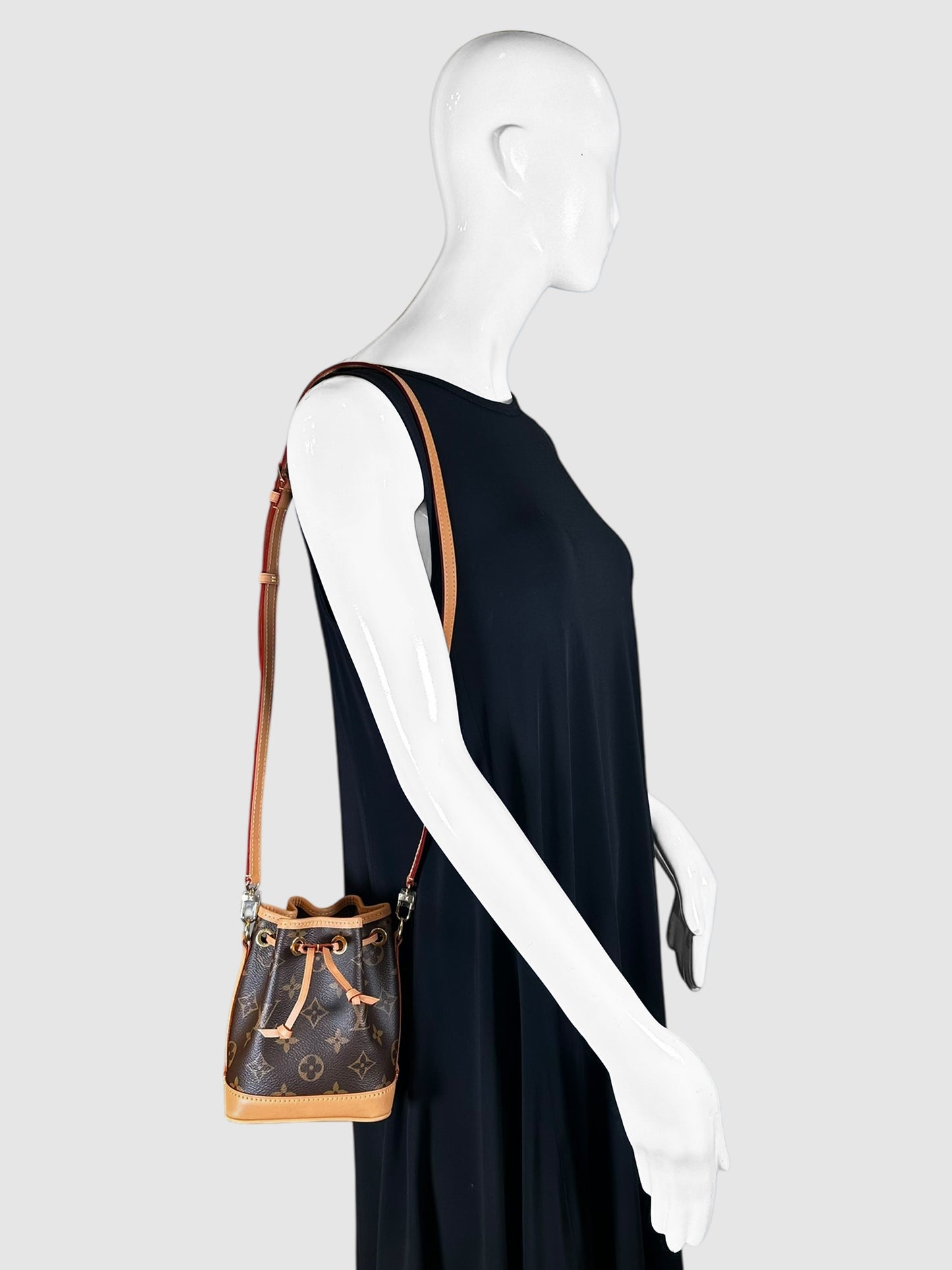 Nano Noé Monogram Bucket Bag