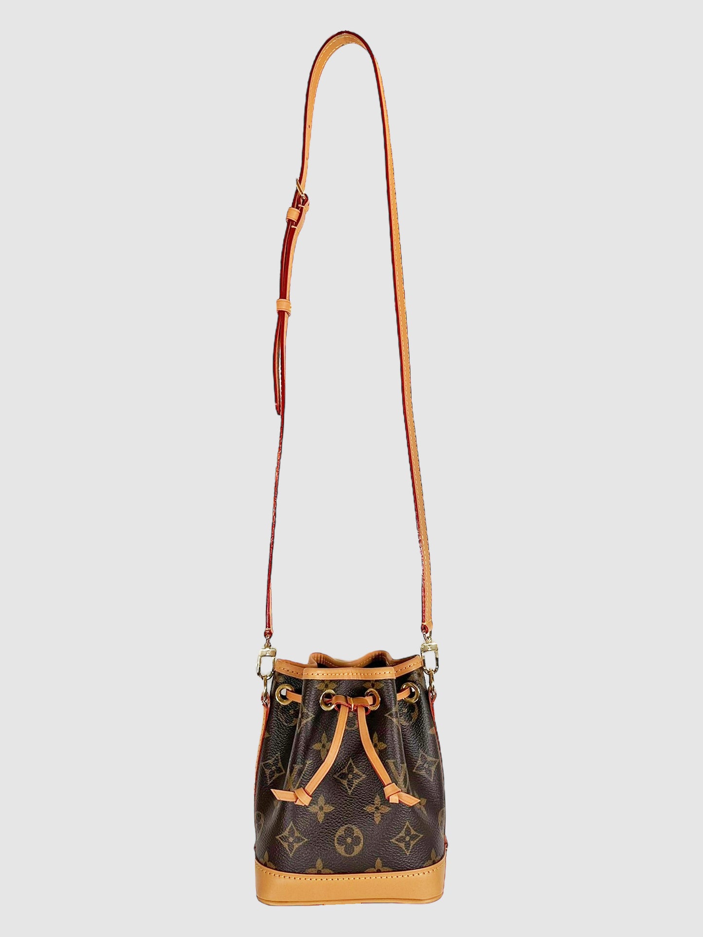 Nano Noé Monogram Bucket Bag