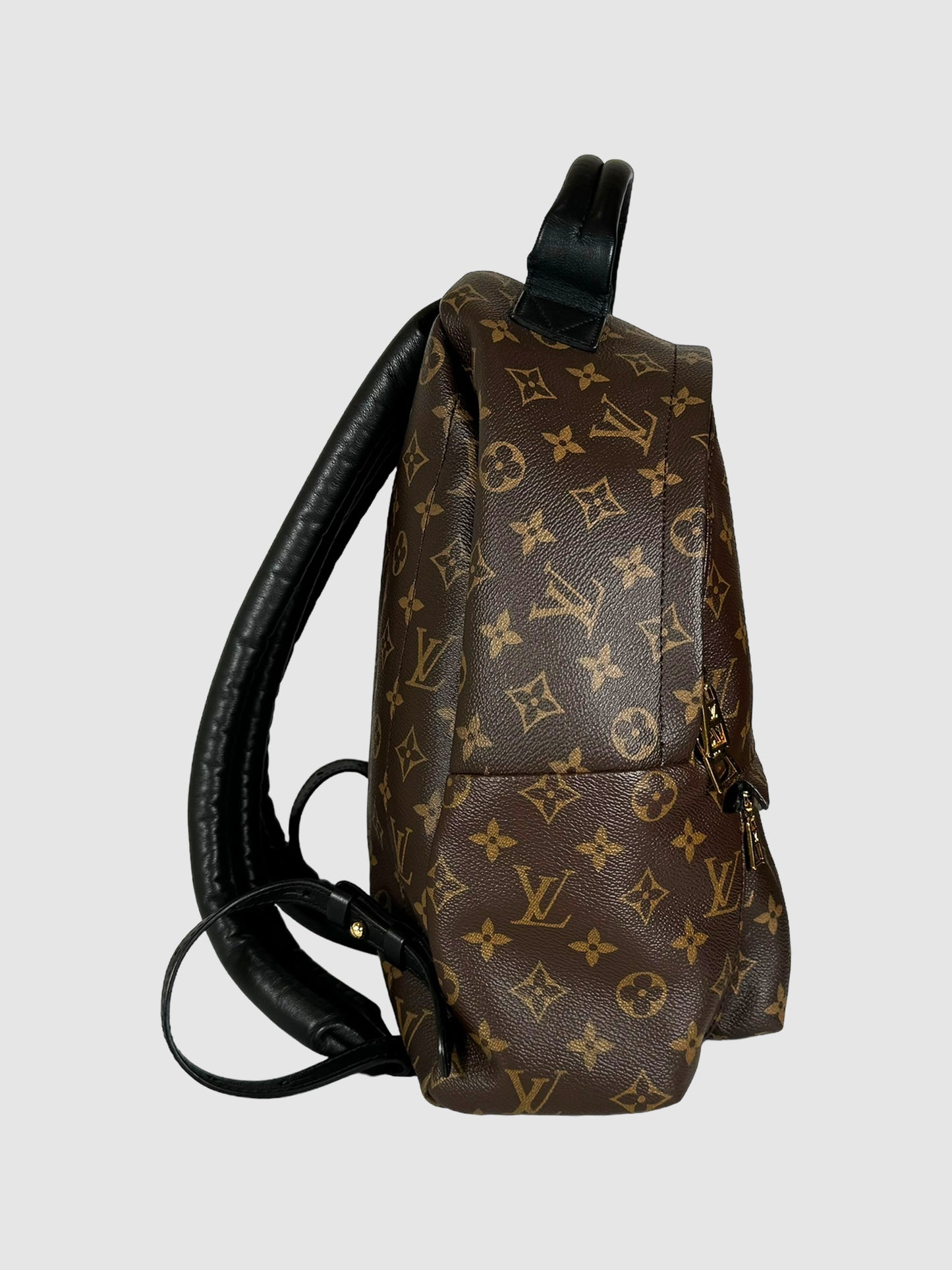 Monogram Palm Springs PM Backpack