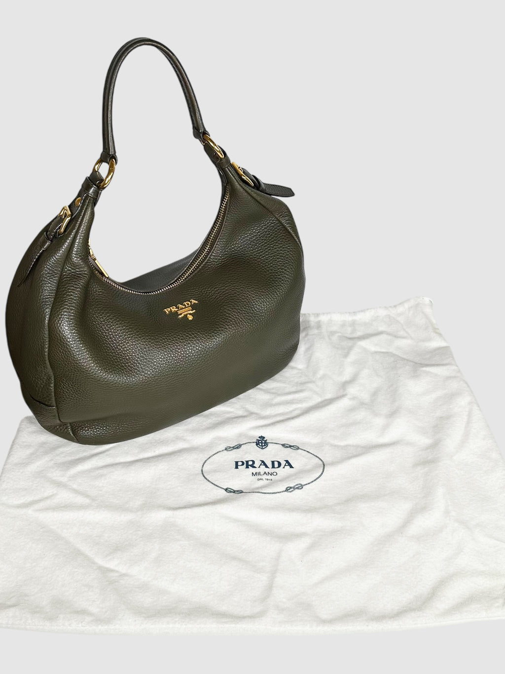 Vitello Daino Hobo Bag