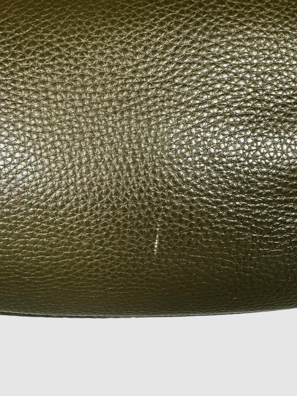 Vitello Daino Hobo Bag