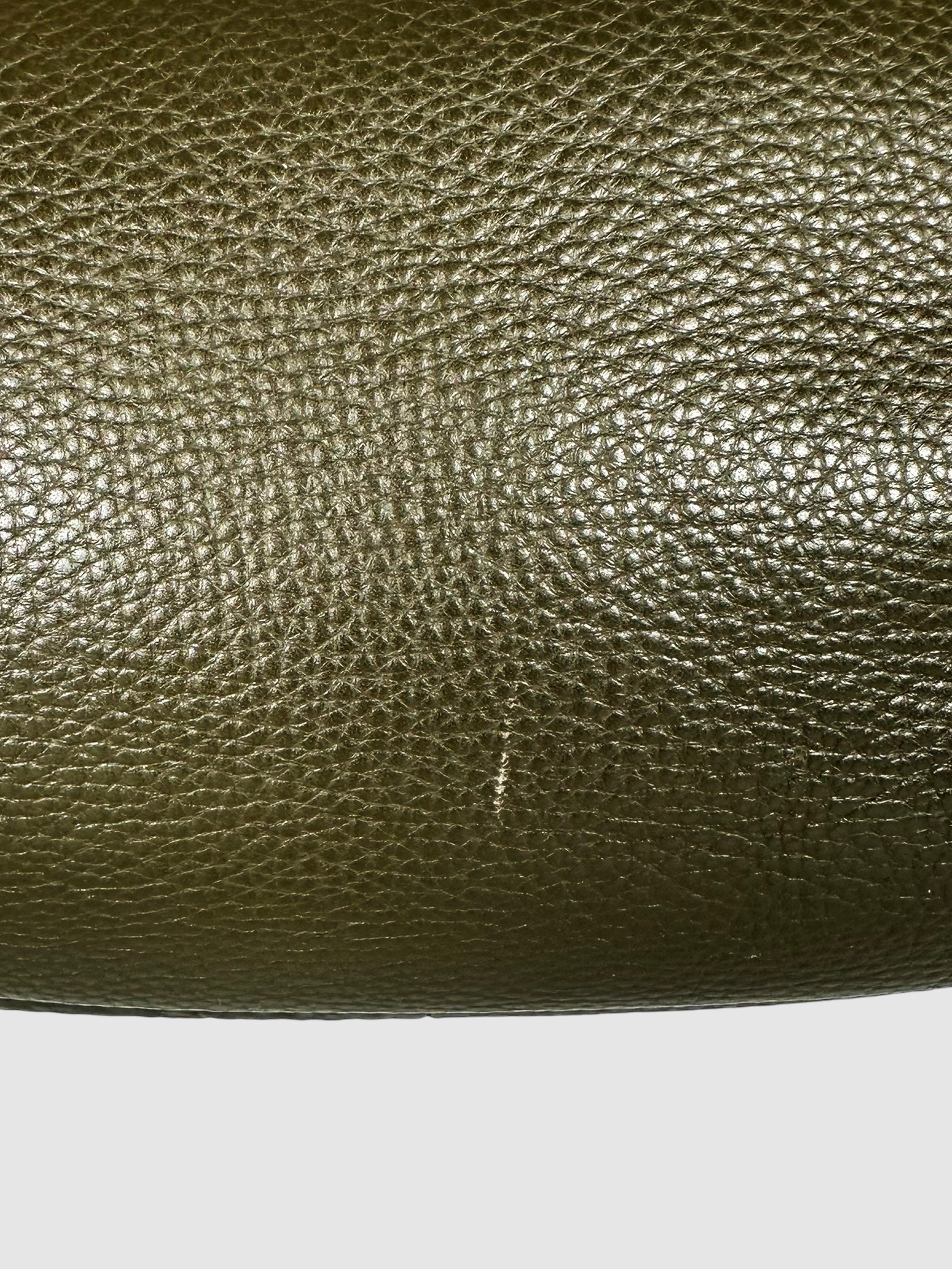 Vitello Daino Hobo Bag