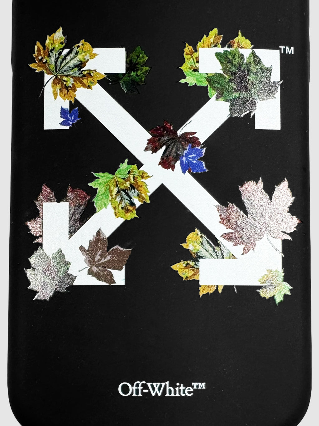 Leaves Arrow iPhone 11 Case