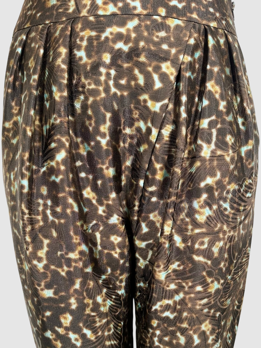 Printed Pleated Pants