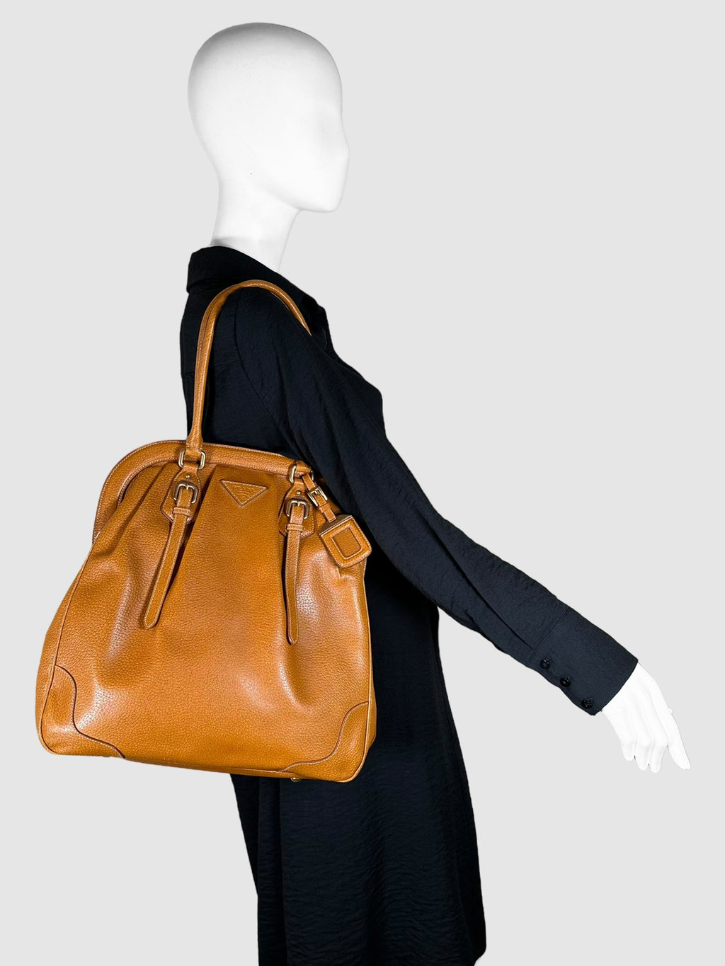 Prada Brown Leather Paglia Cinghiale Frame Bag Consignment Secondhand Designer Luxury Resale Toronto Trendy