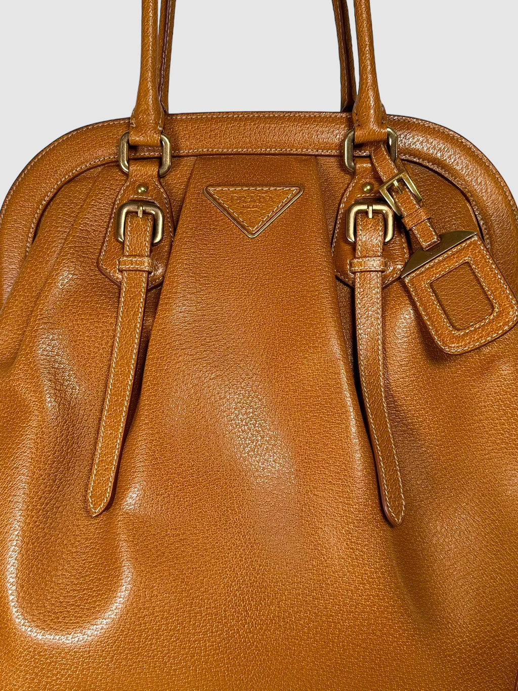 Paglia Cinghiale Frame Bag