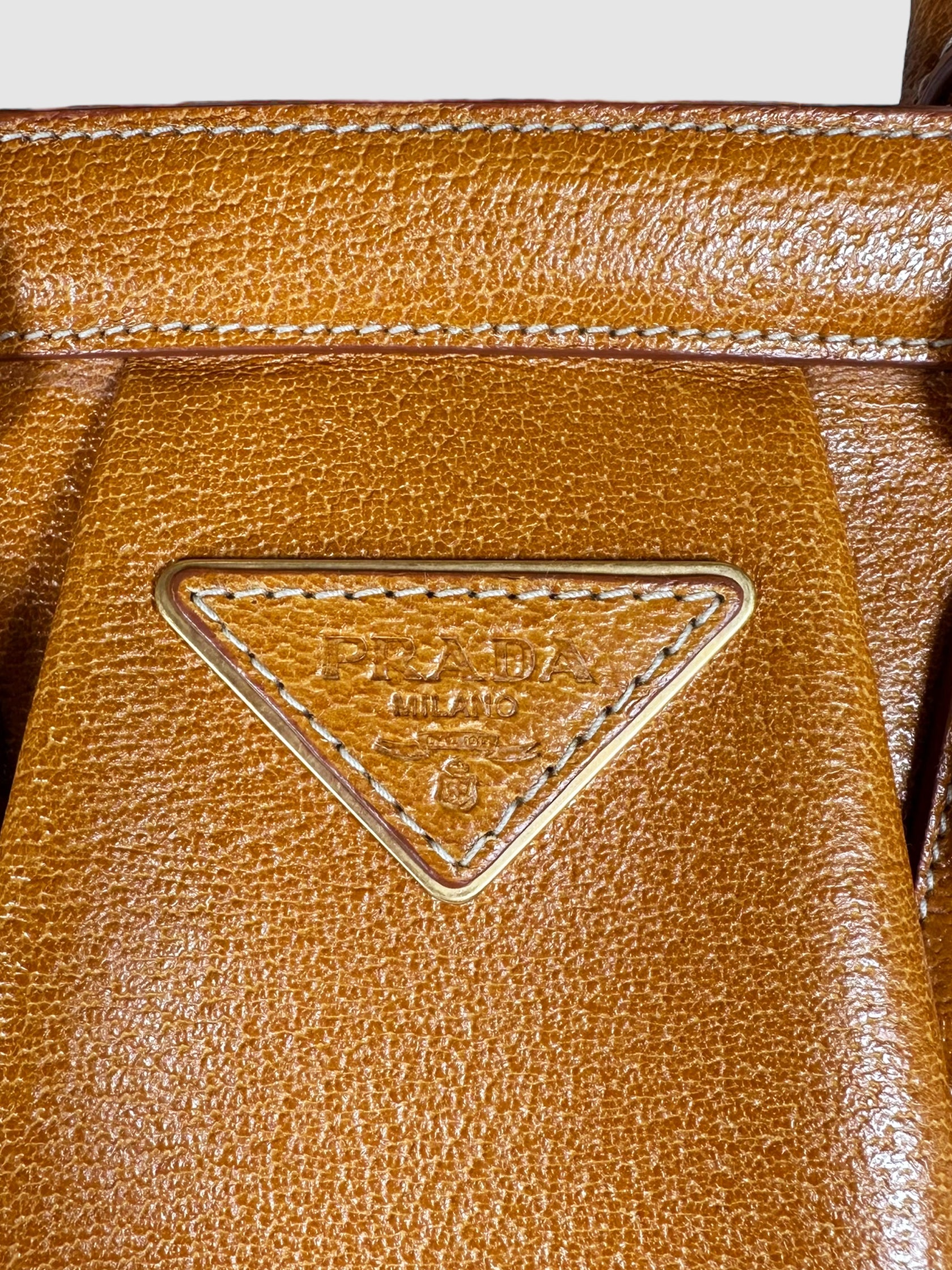 Paglia Cinghiale Frame Bag