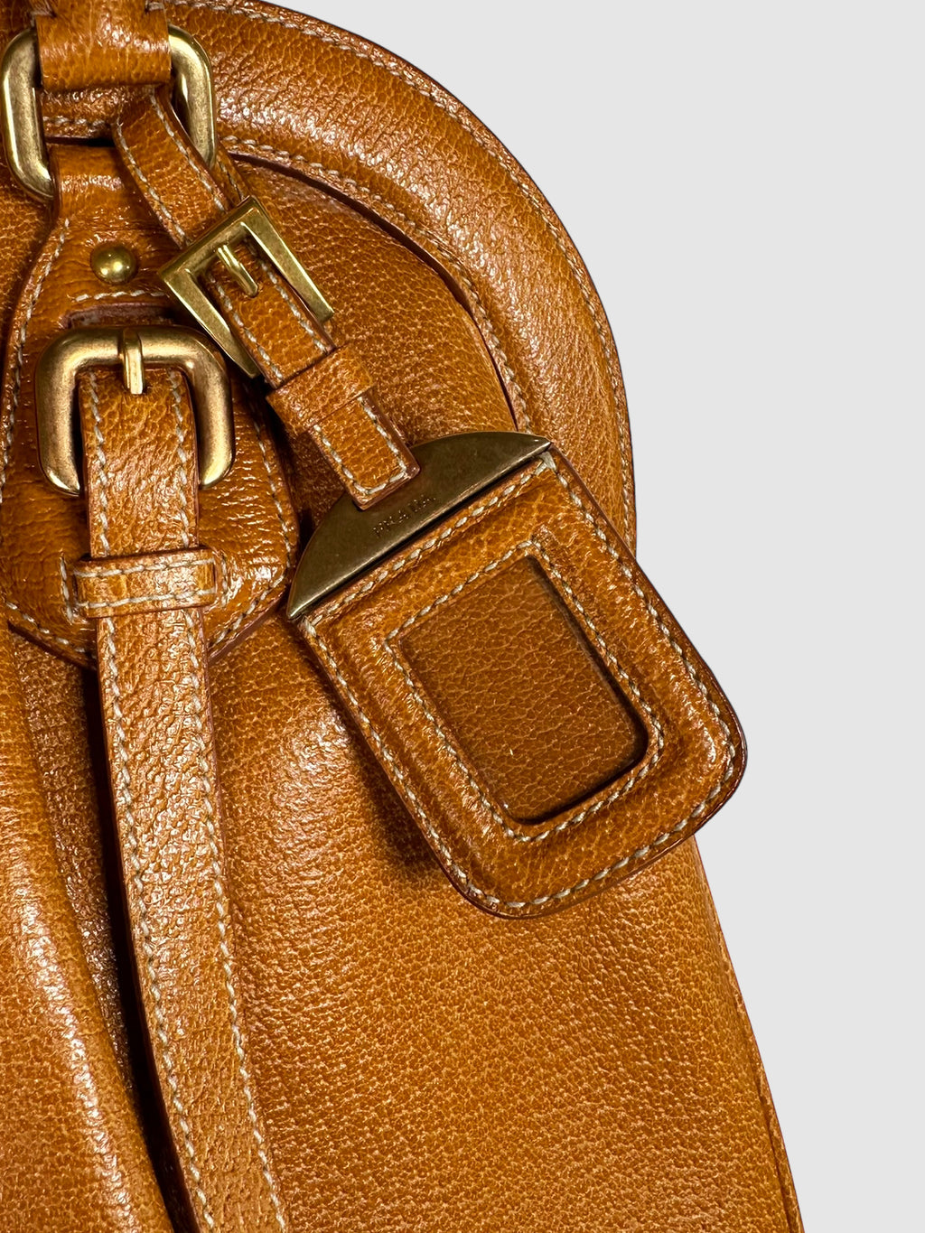 Paglia Cinghiale Frame Bag