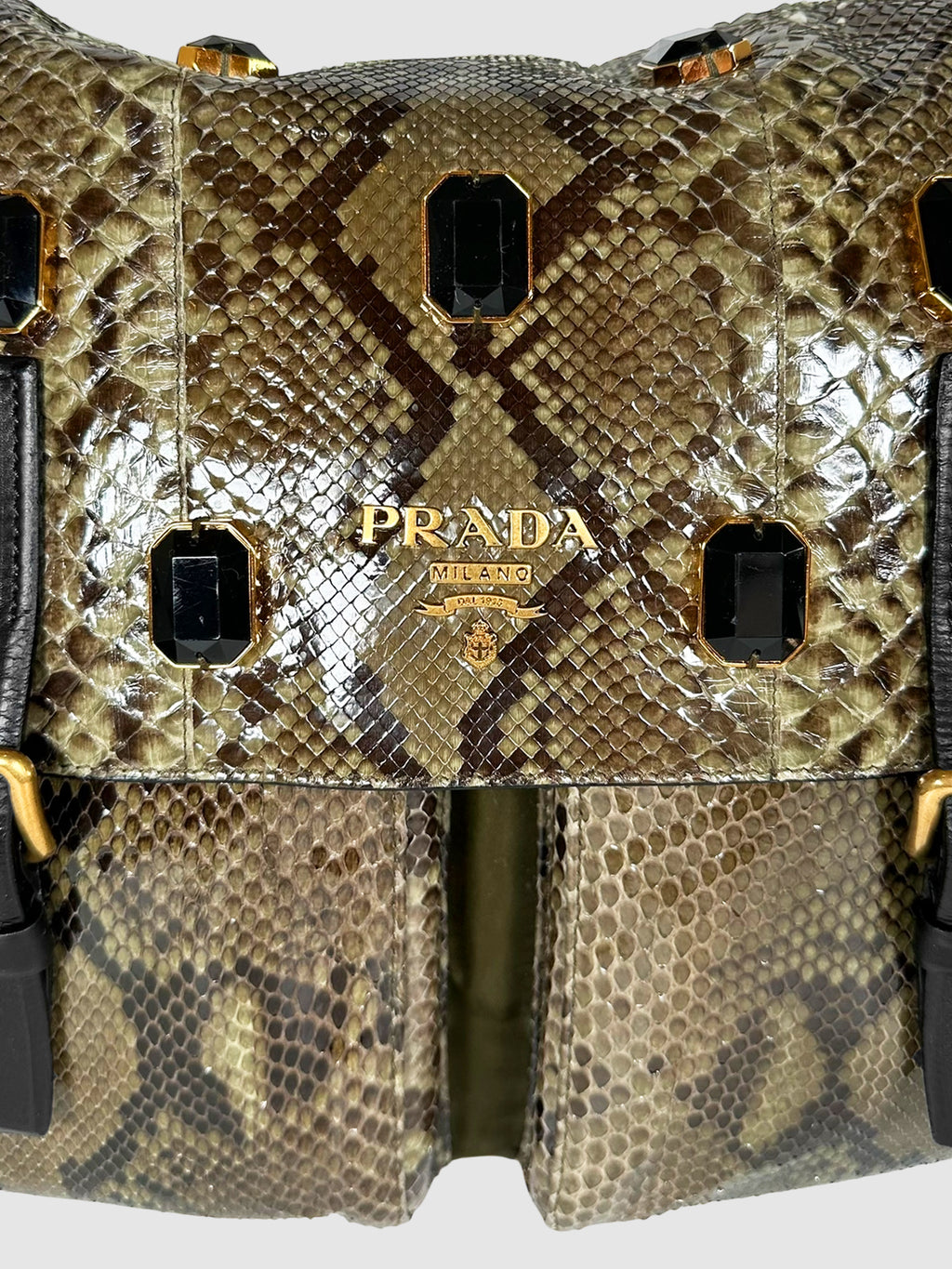 Python Jewelled Bag