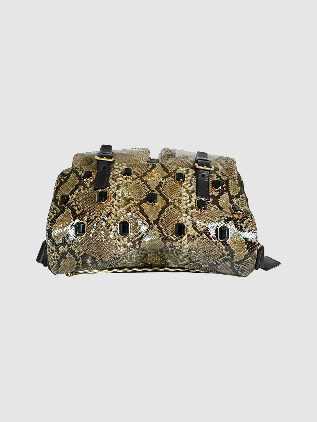 Python Jewelled Bag
