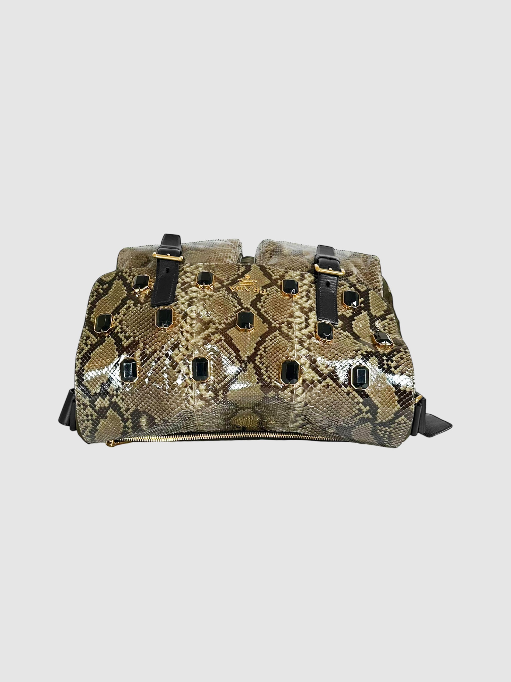 Python Jewelled Bag