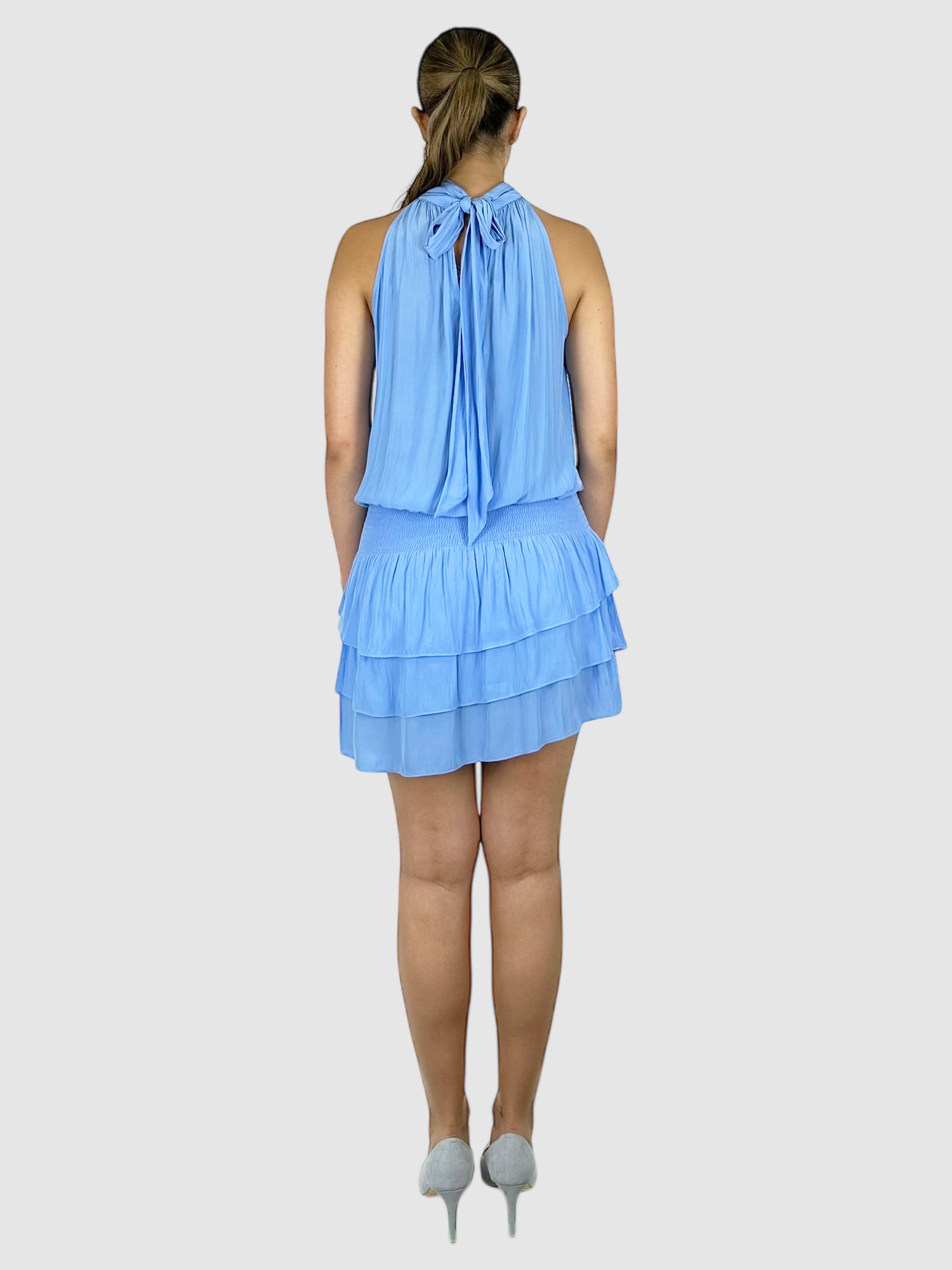 Hudson Halter Dress