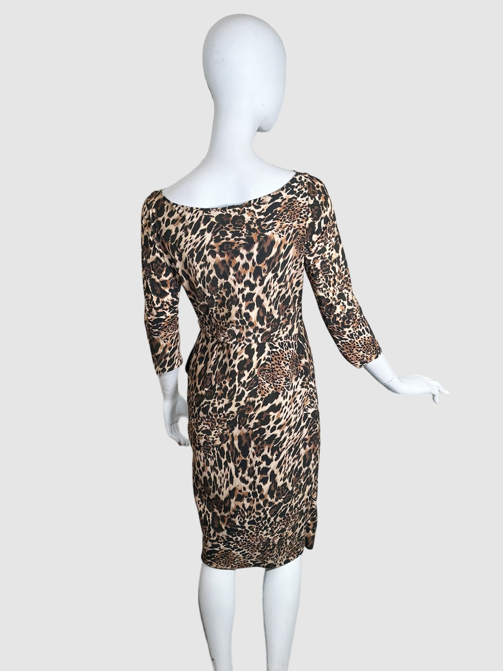 Animal Print Dress - Size S/M