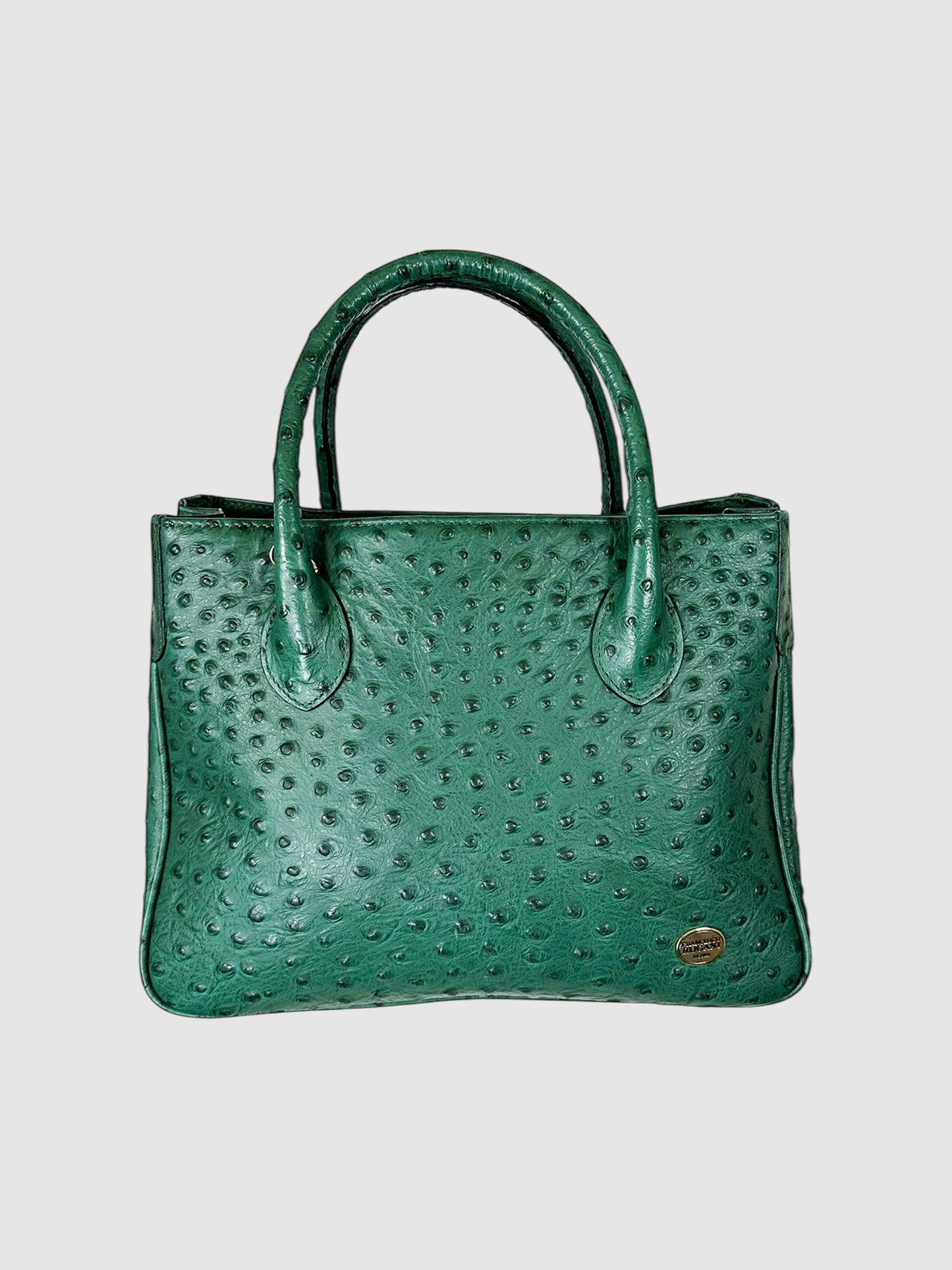 Ostrich Leather Top Handle Bag