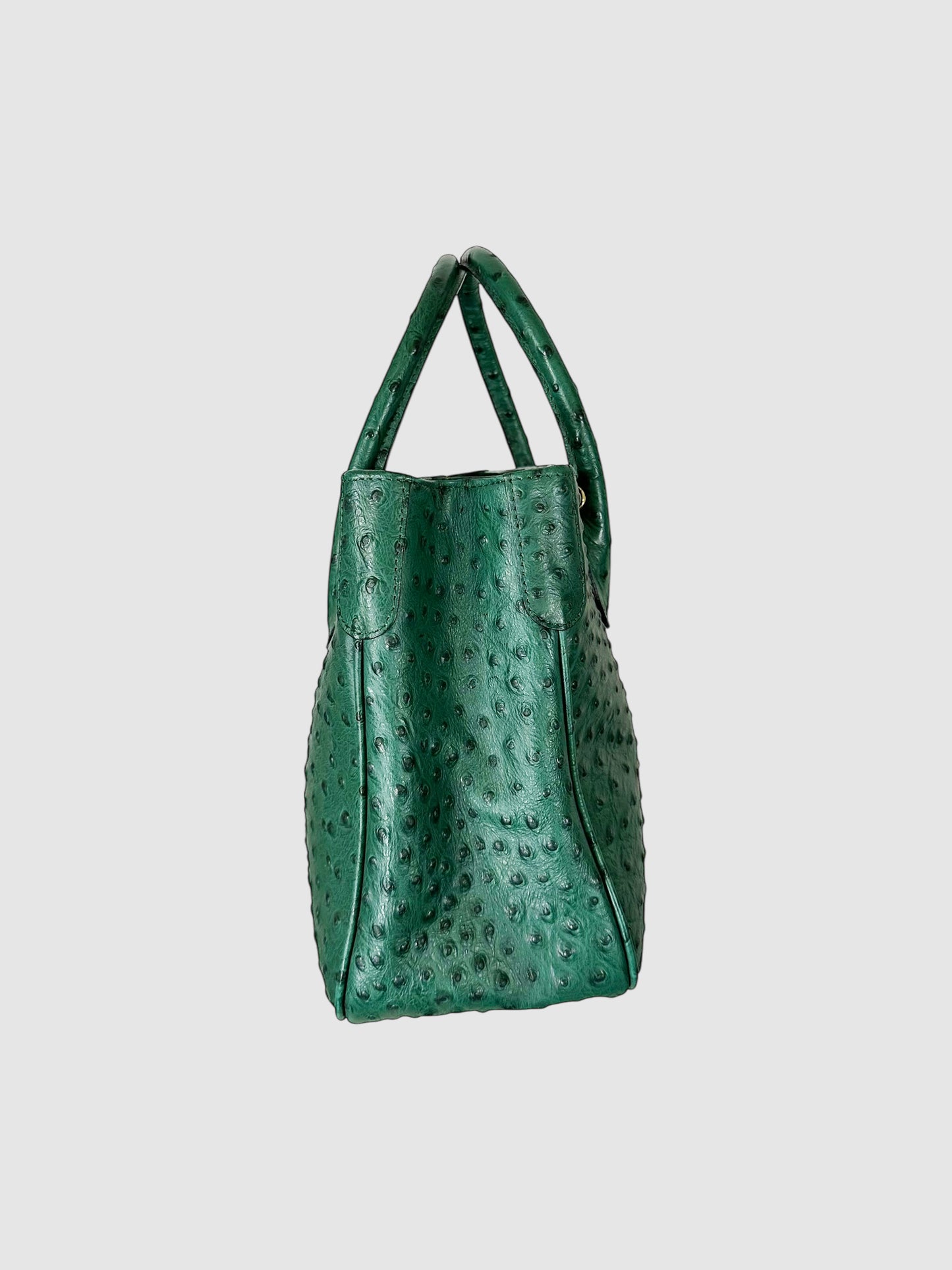 Ostrich Leather Top Handle Bag