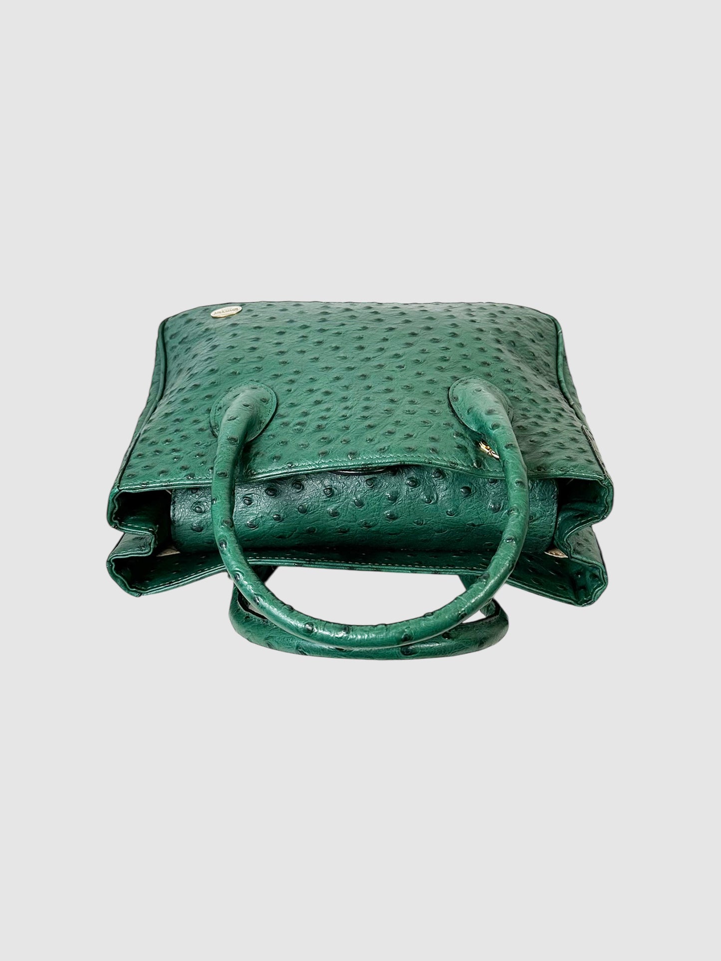 Ostrich Leather Top Handle Bag