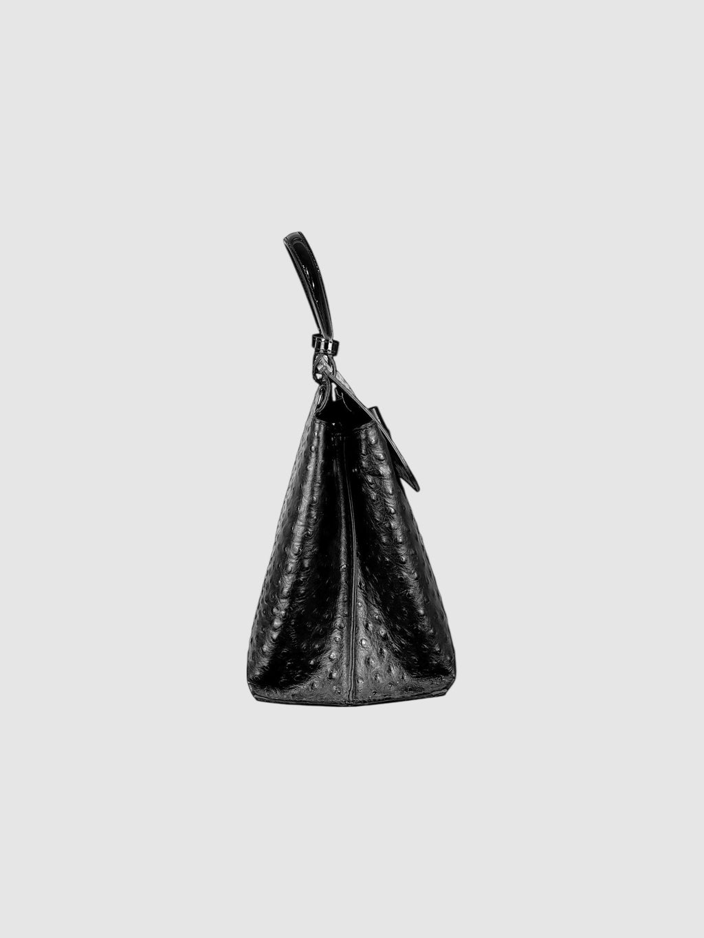 Ostrich Plumadore Bag