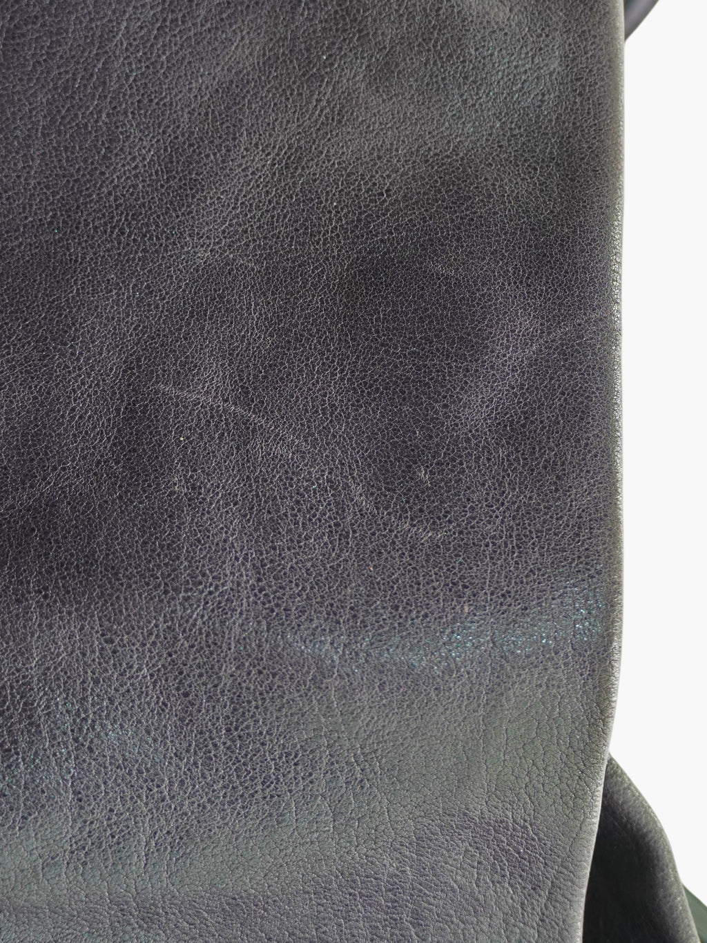 Scarabeo Crossbody Bag