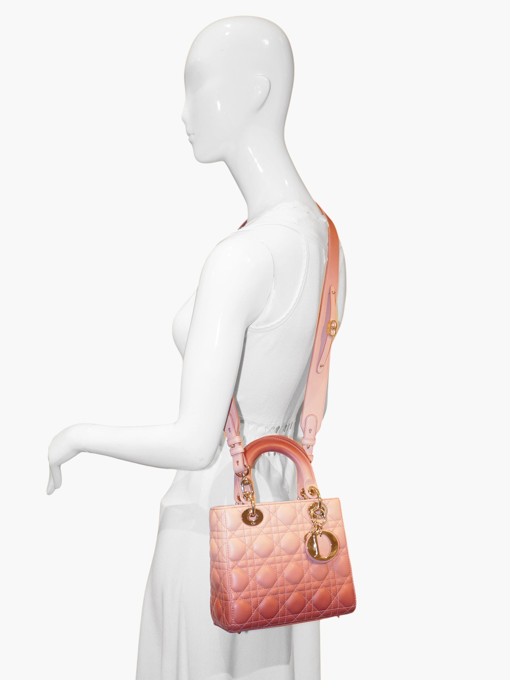 Lady Dior Handle Bag