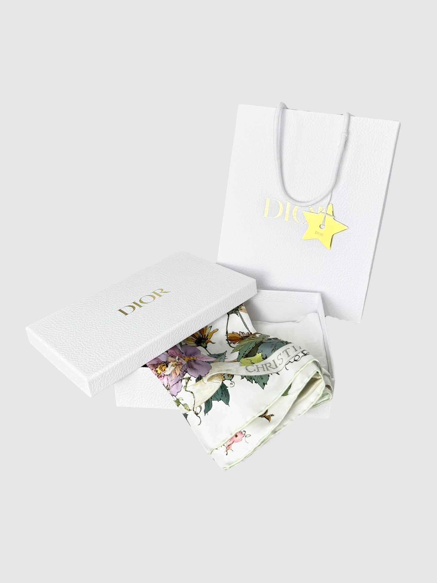 "Dior 4 Saisons Été Soleil" Silk Scarf