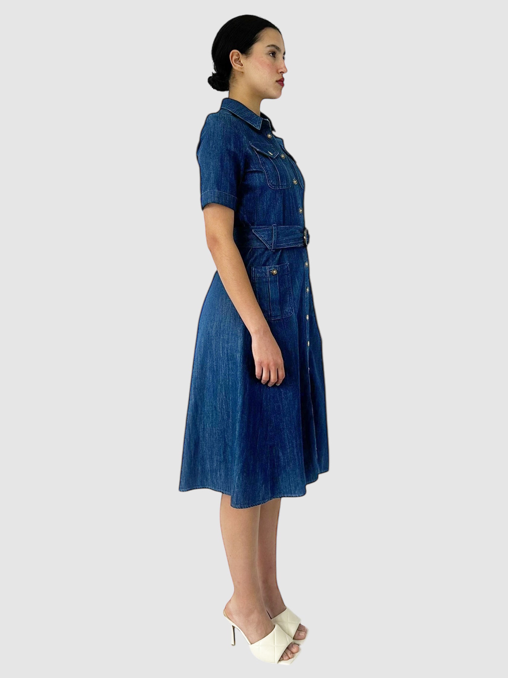 Denim Raquel Dress - Size 34