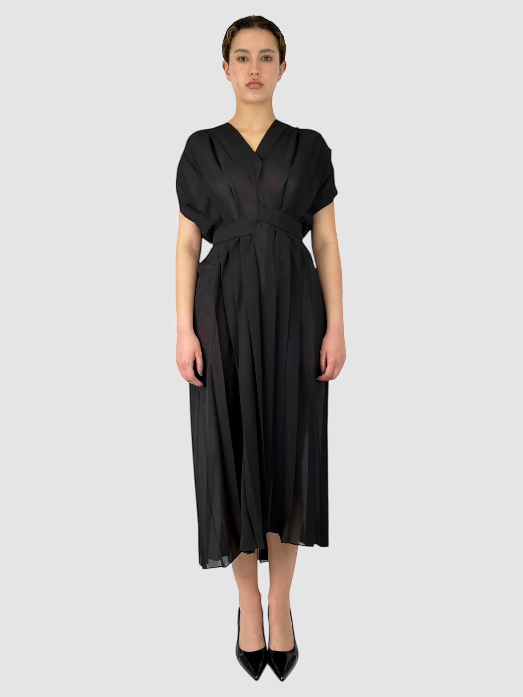 Sheer Pleated Dress